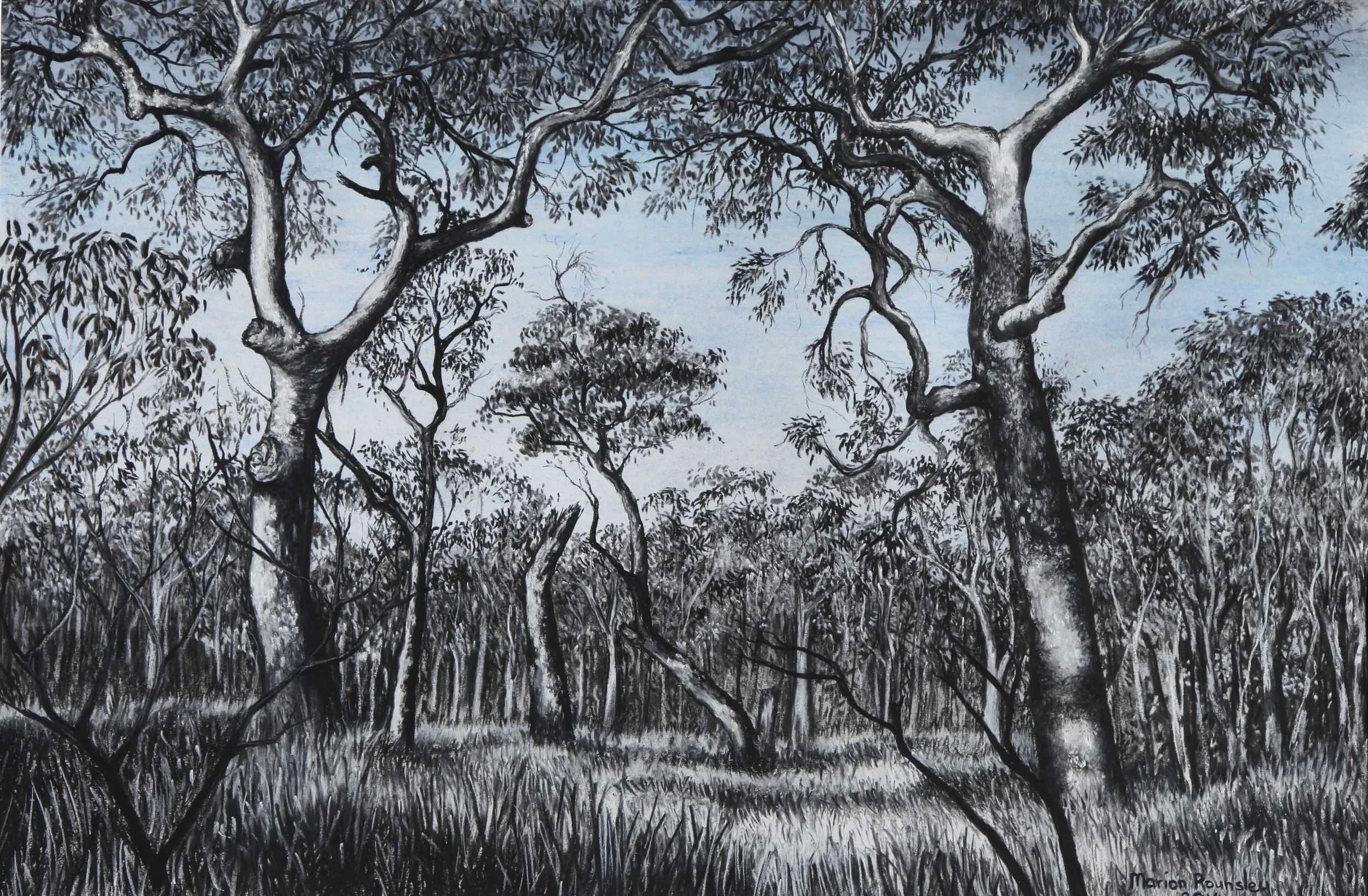 "River Walk with Blue, Barrington Tops"   2013