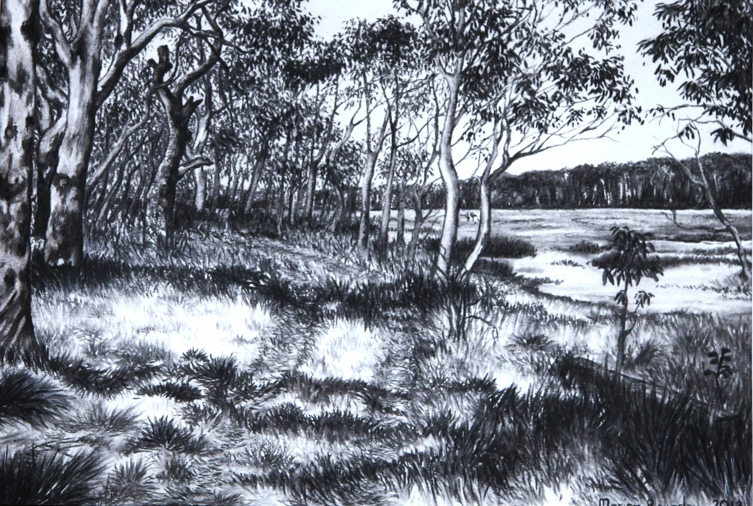 "Black Swamp, Barrington Tops"  2013