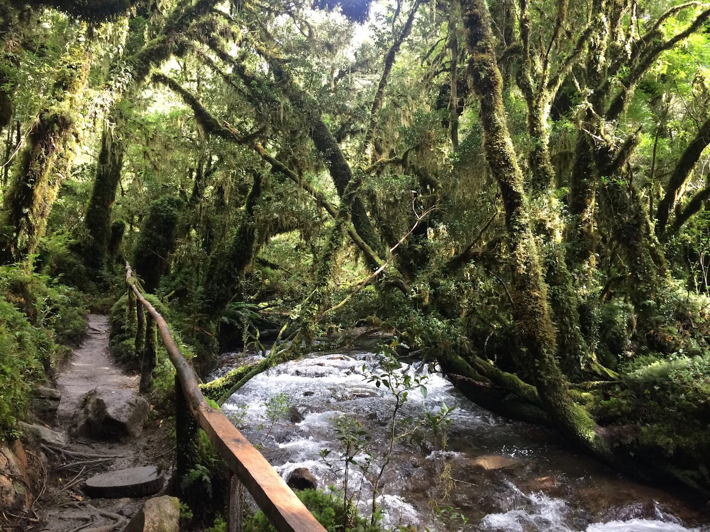 Give Us this Day our Daily Bread