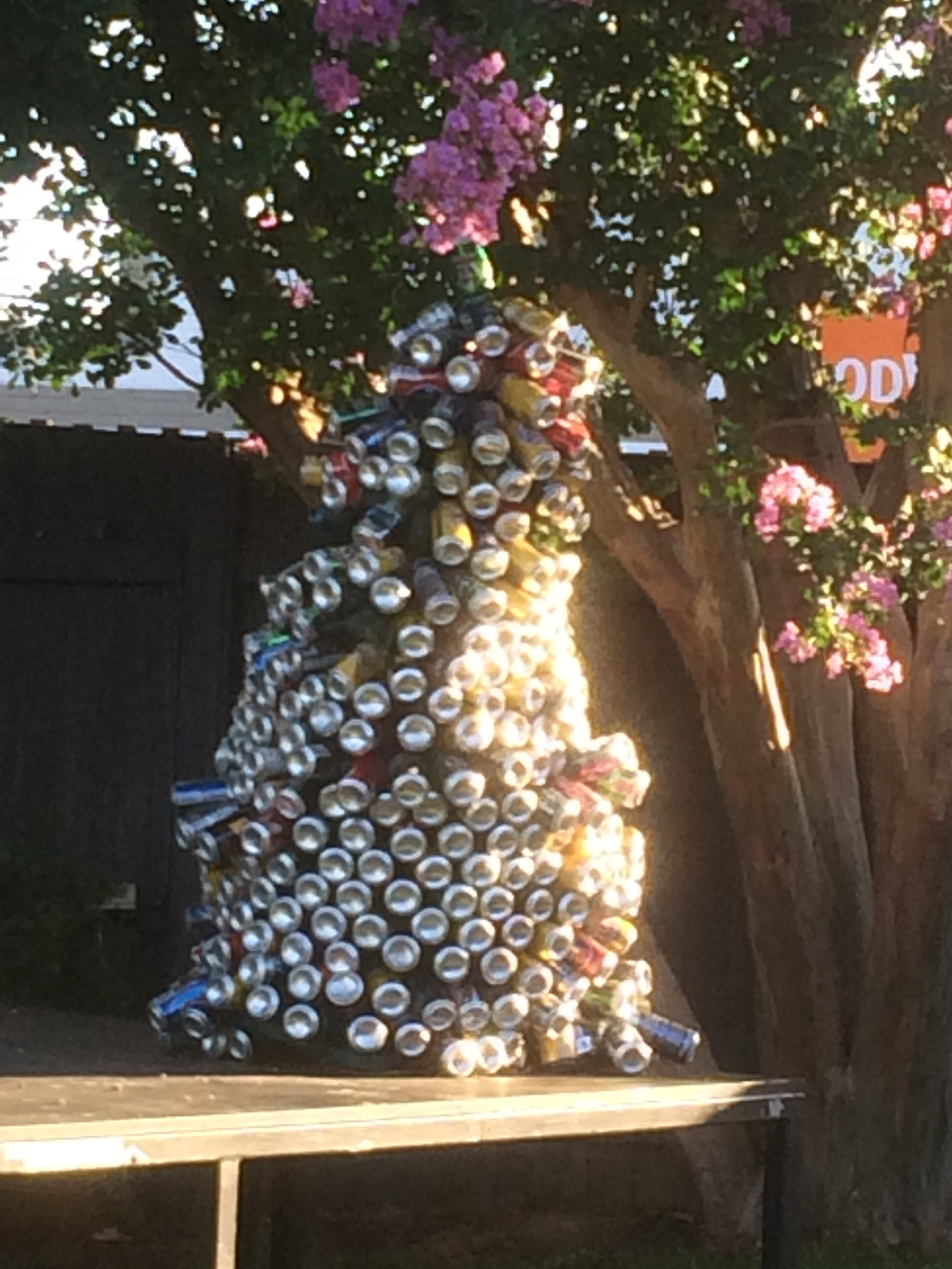 Christmas at the pub in Oz.....yes that christmas tree is made of beer cans.