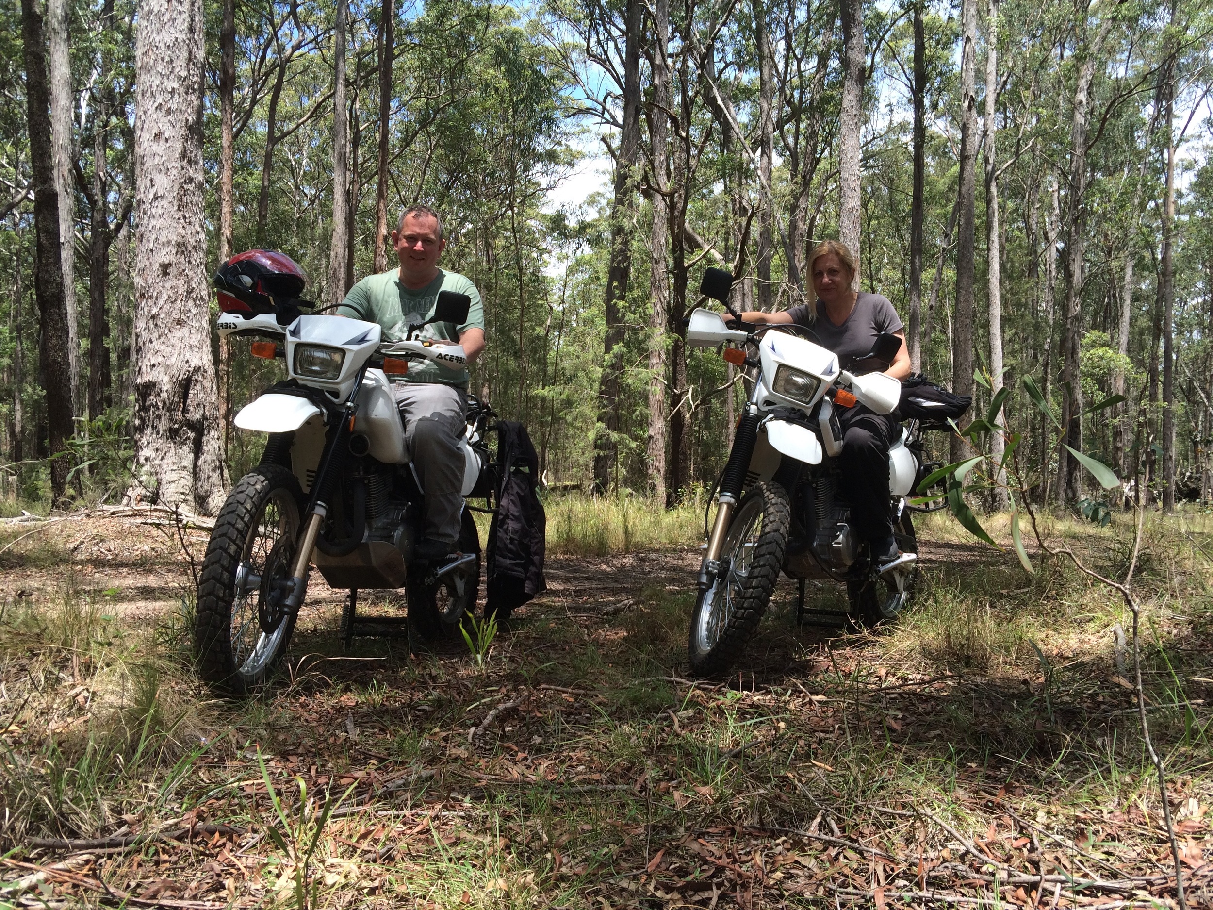 On the way from Sydney to Byron Bay