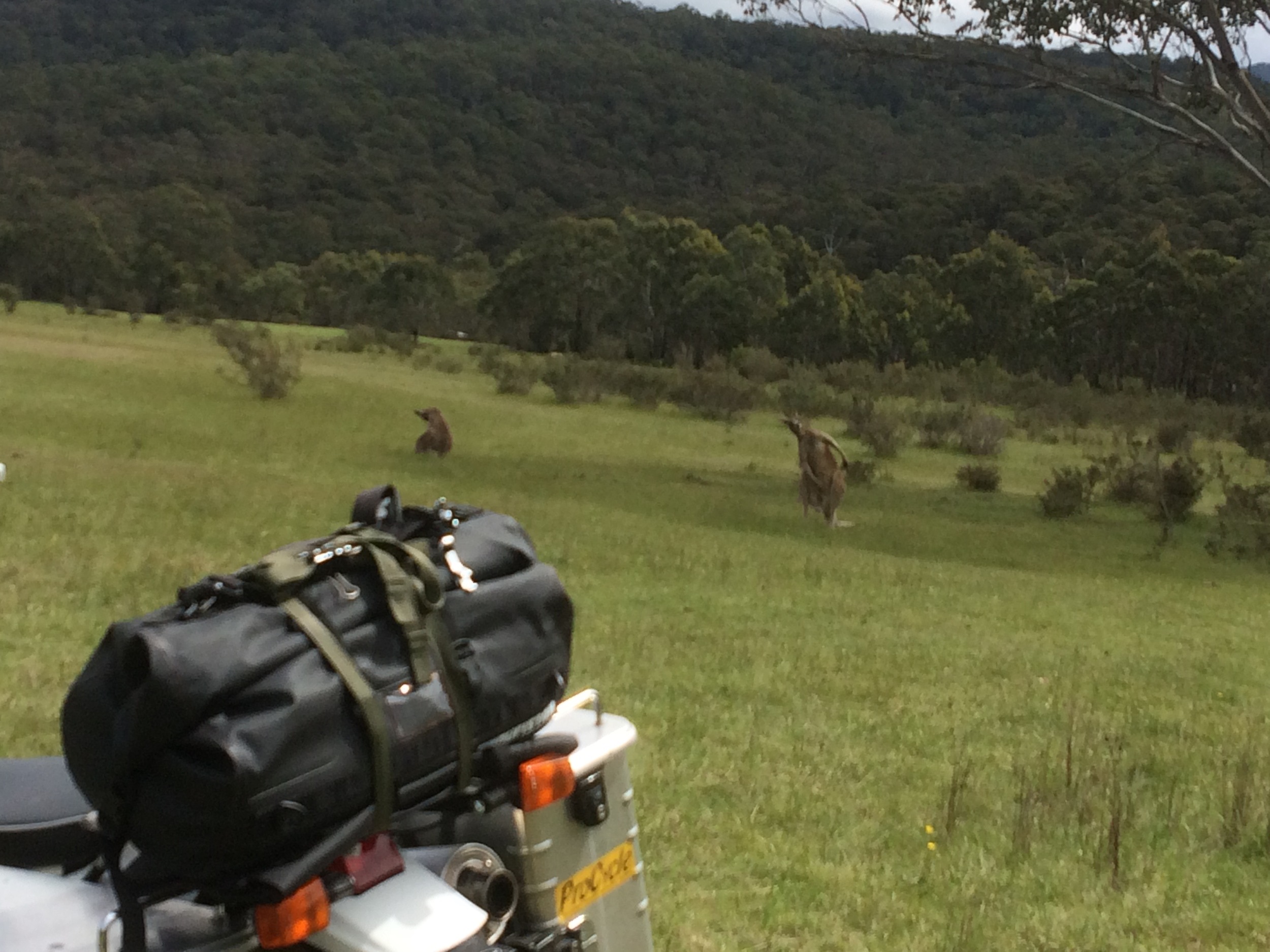 Going down to the Horizons Unlimited meeting in Marysville, got to ride with the 'roos