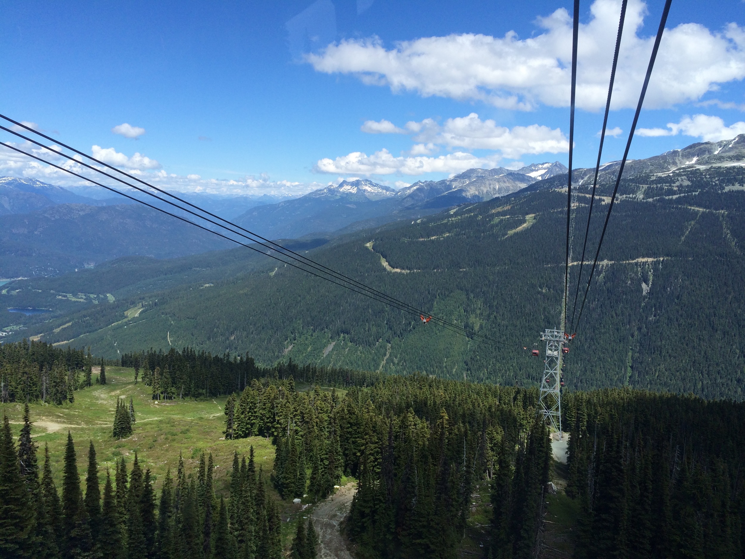 View from the gondola