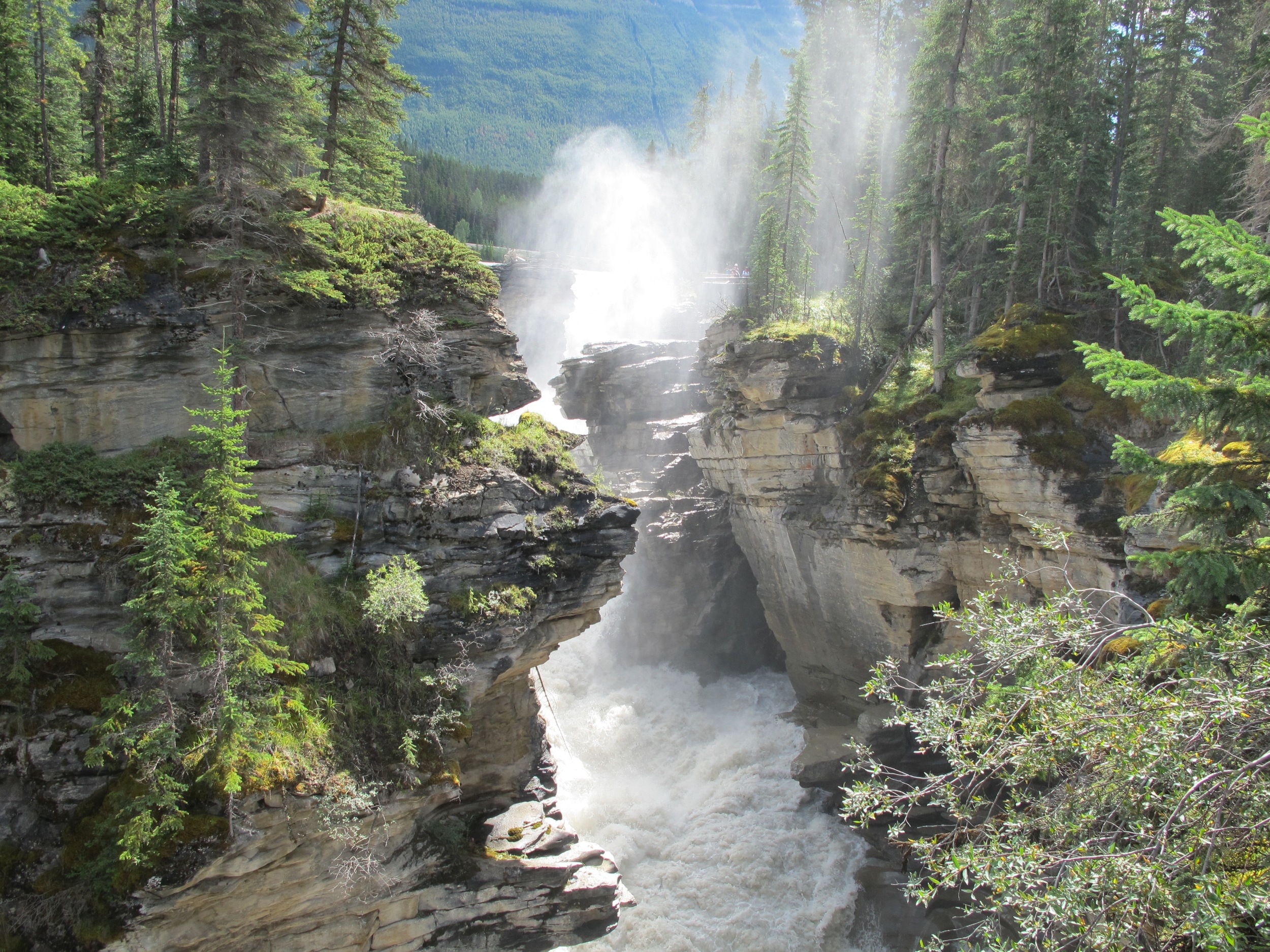 Athabasca falls, Jasper Nat Park