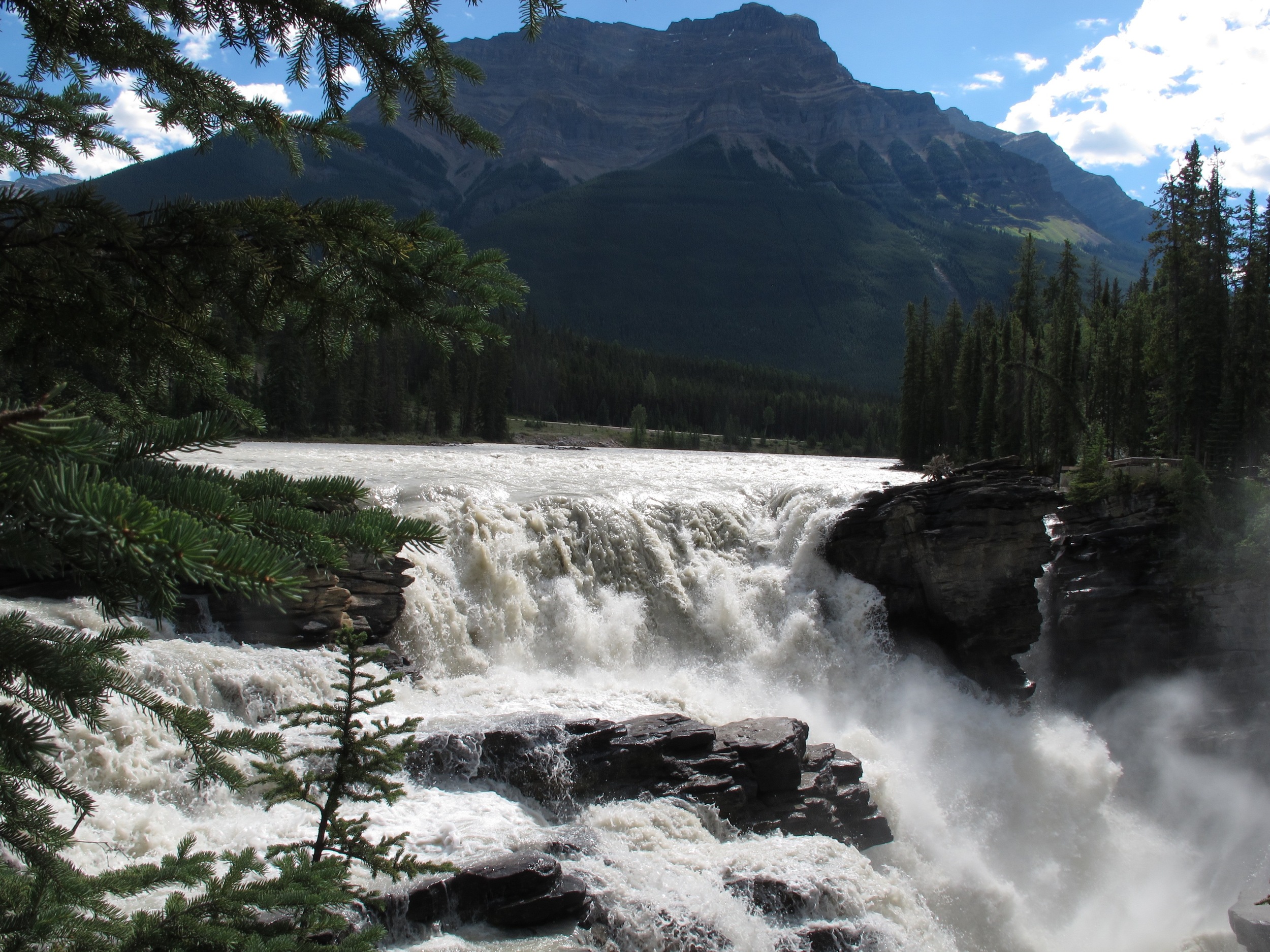 Athabasca falls, Jasper Nat Park