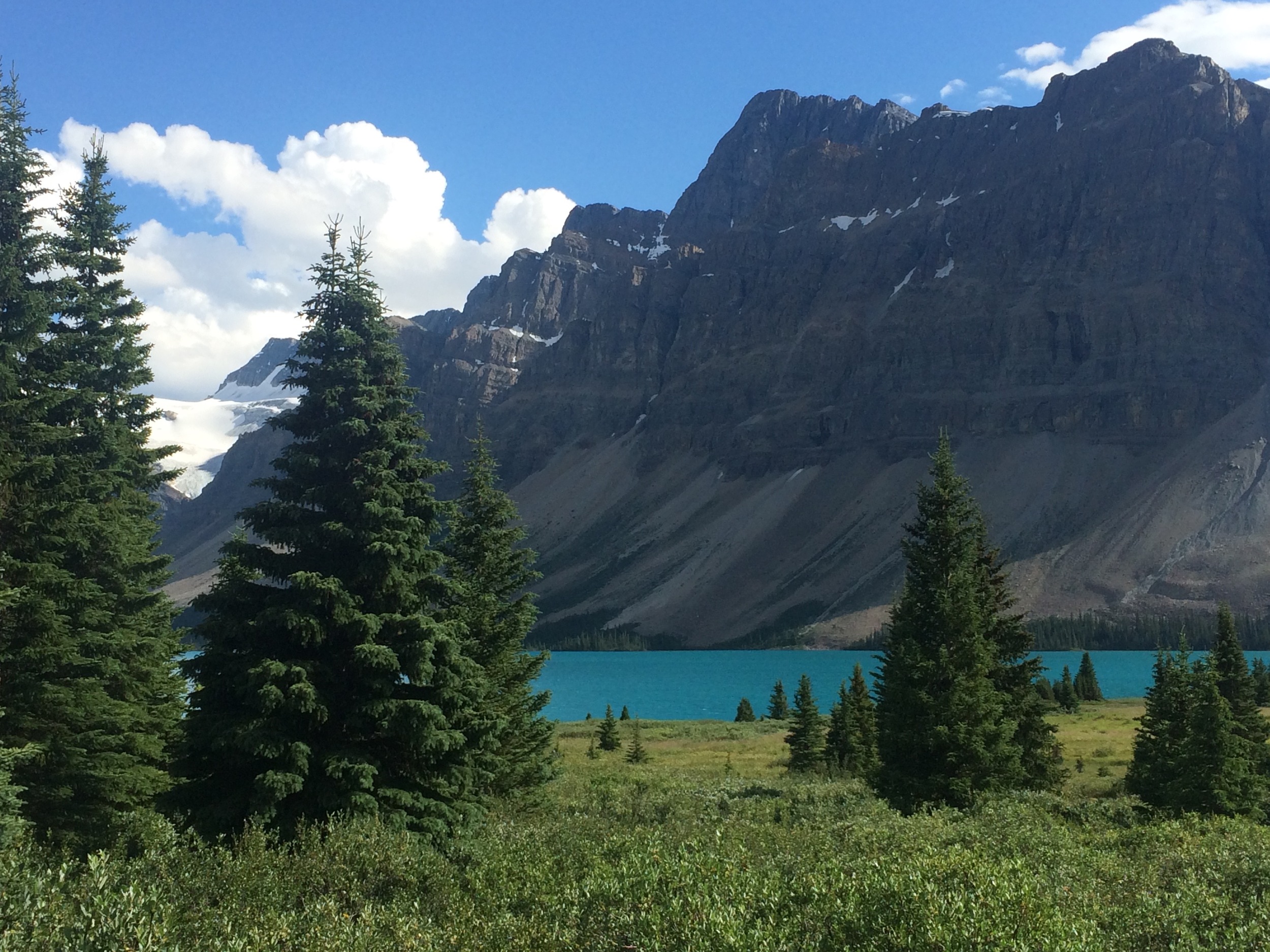 Bow Lake and glacier