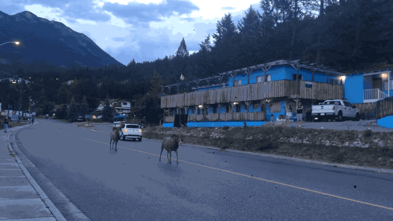 Even on the right side of the road.