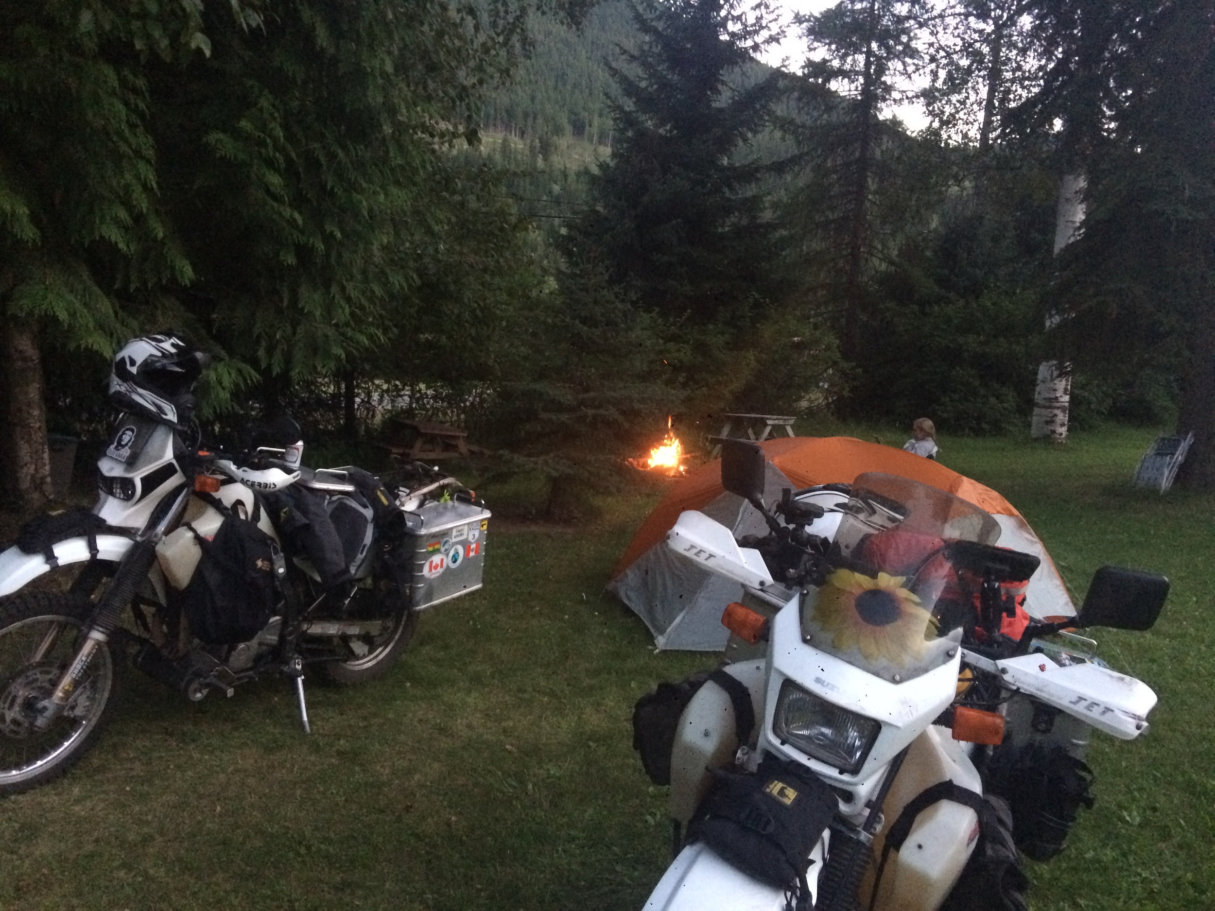 Nice grassy spot and a campfire near Salmo, BC