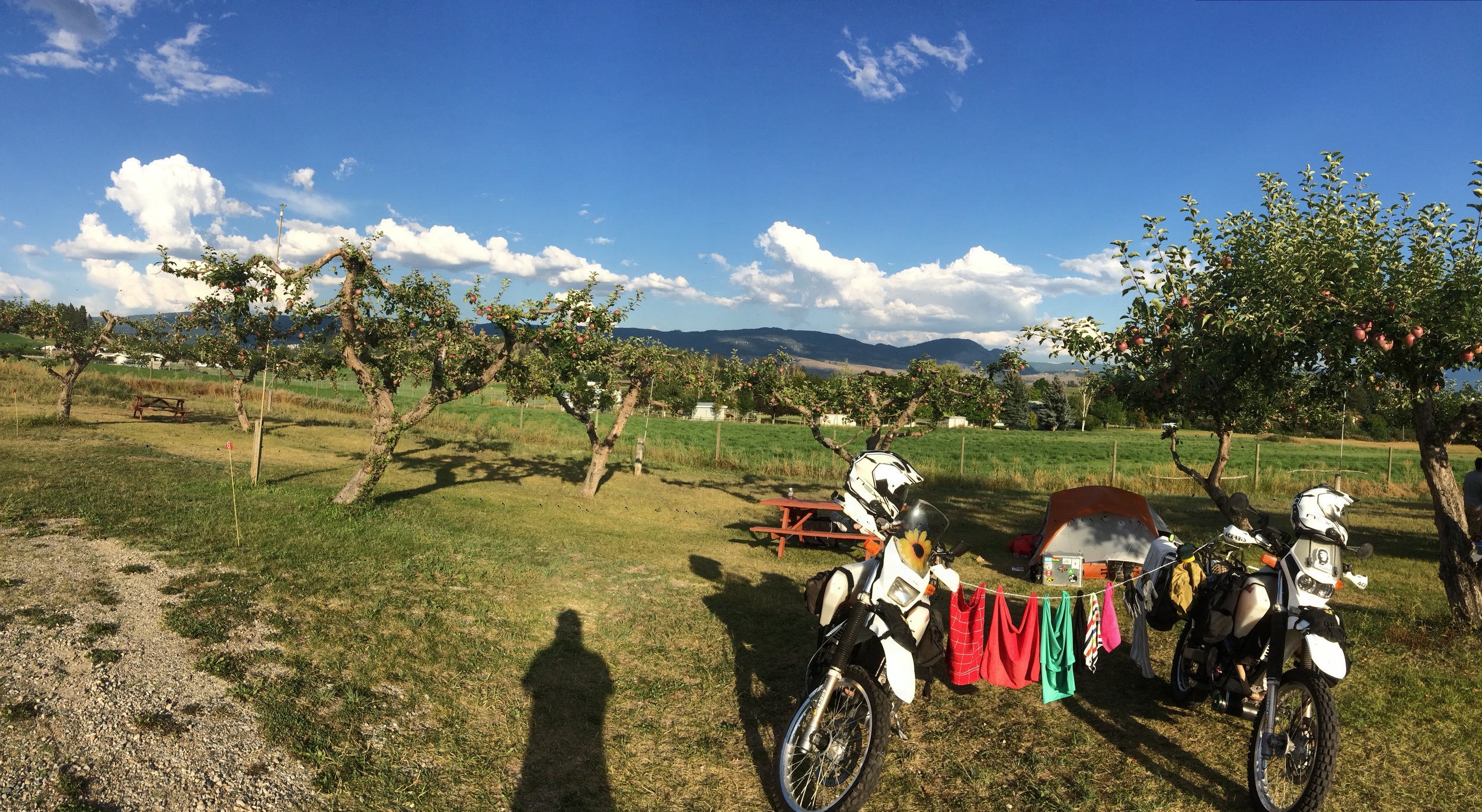 Apple orchard camping, Kelowna, BC
