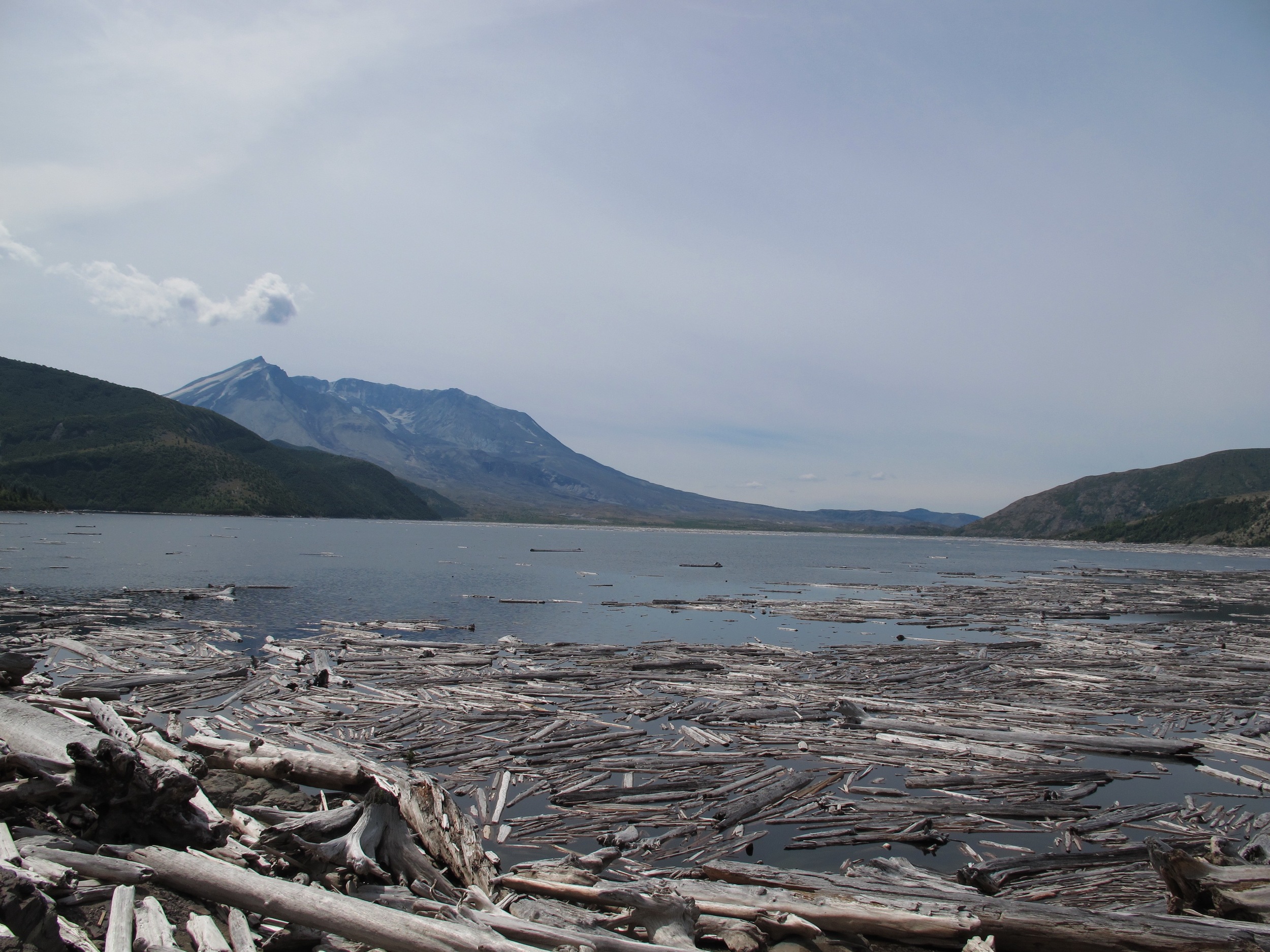 After 36 years the lake is still full of stripped trees
