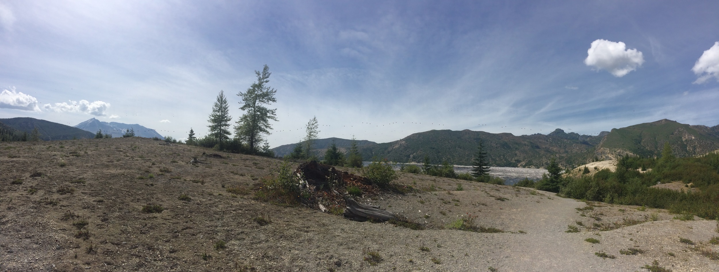 This side of the valley was pummelled by the blast, stripping trees and topsoil away to be replaced by volcanic ash