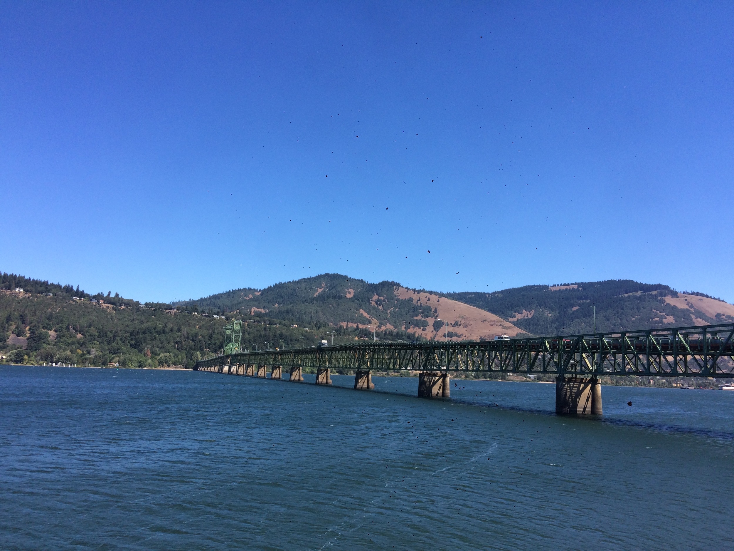 View of the Hood river bridge taken from the marina 