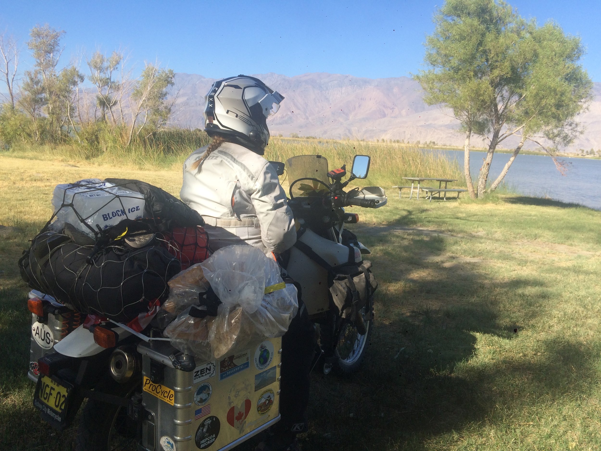 Arriving at camp with supplies of ice and firewood strapped on.