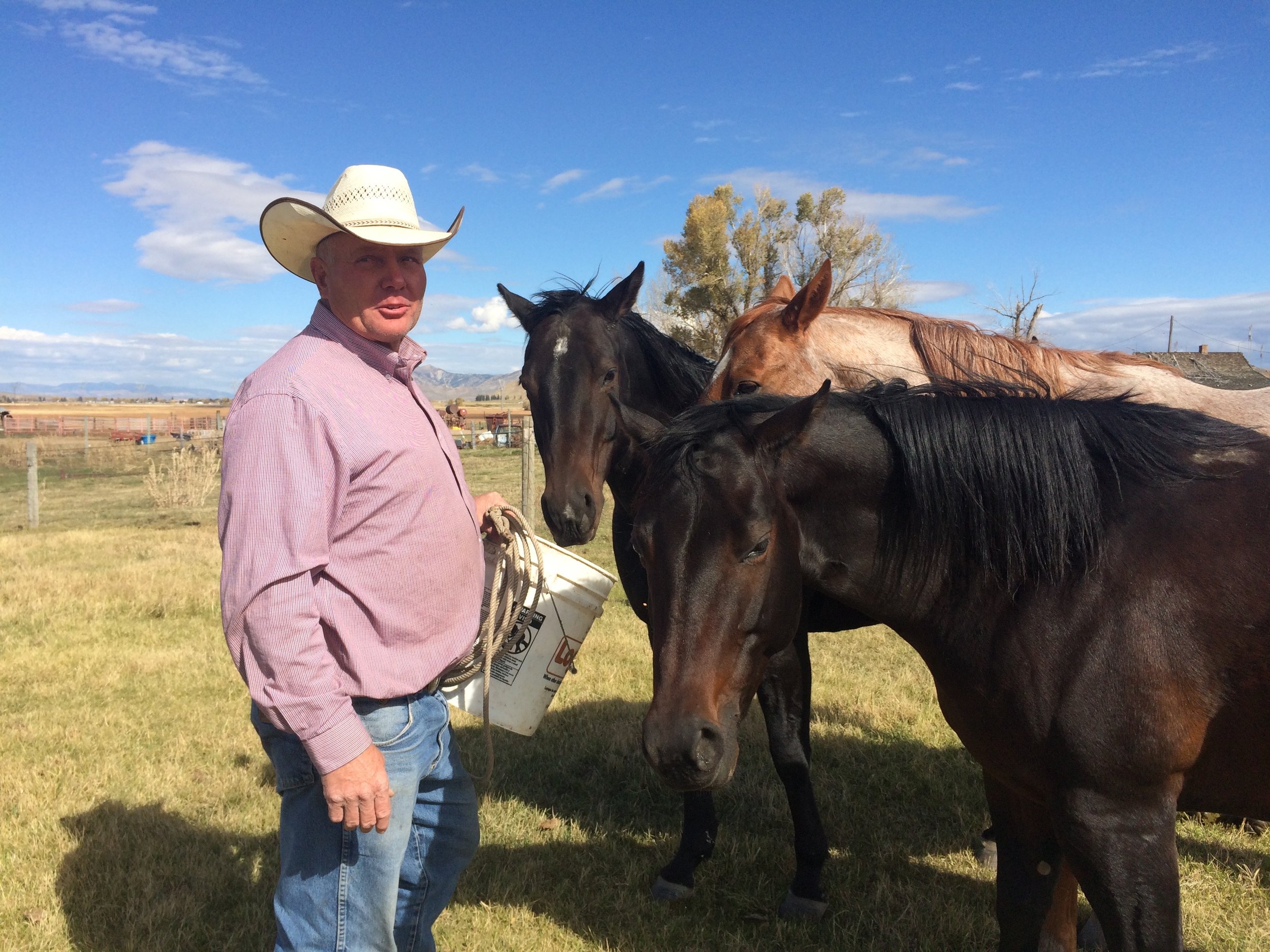 Down at the Ranch