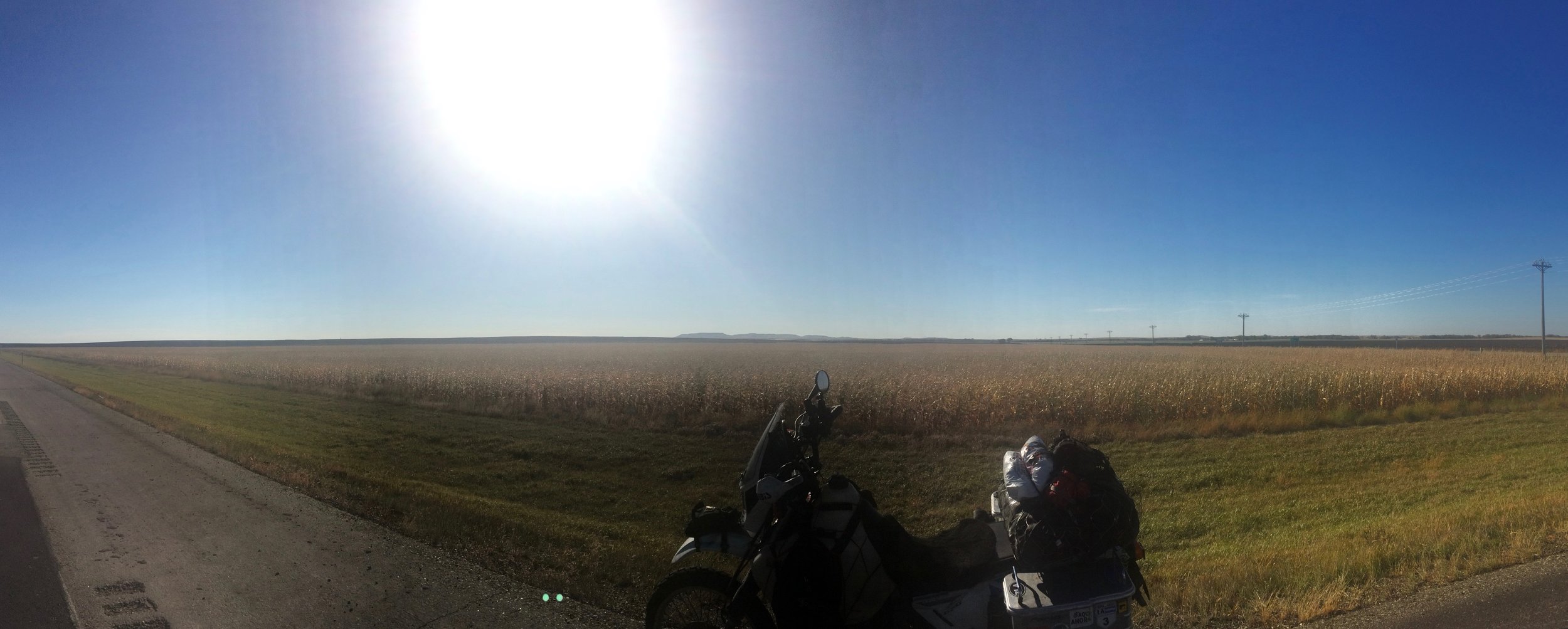 Cornfields