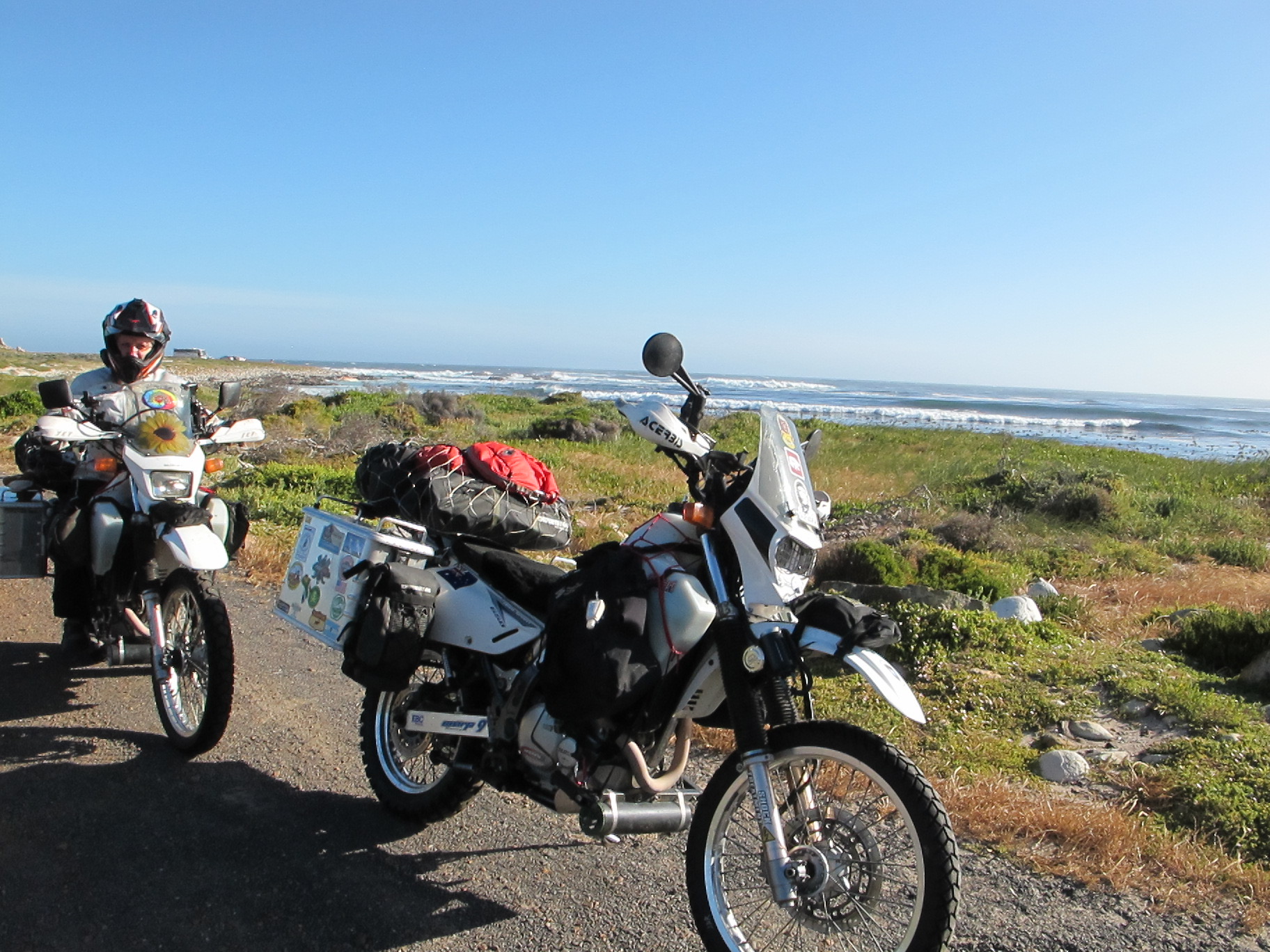 Wallace and Gromit in Africa