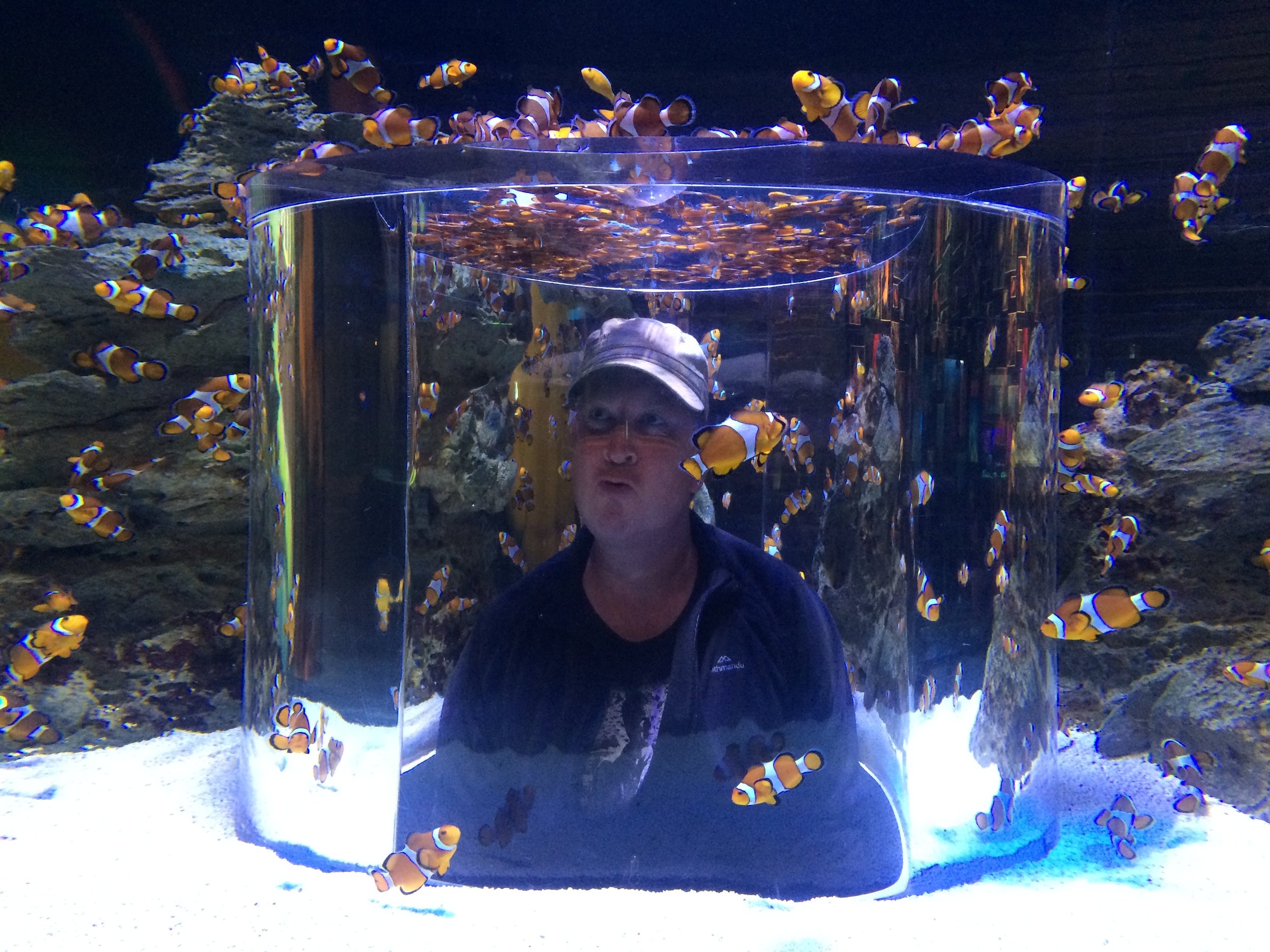 Found Nemo, it's that one!