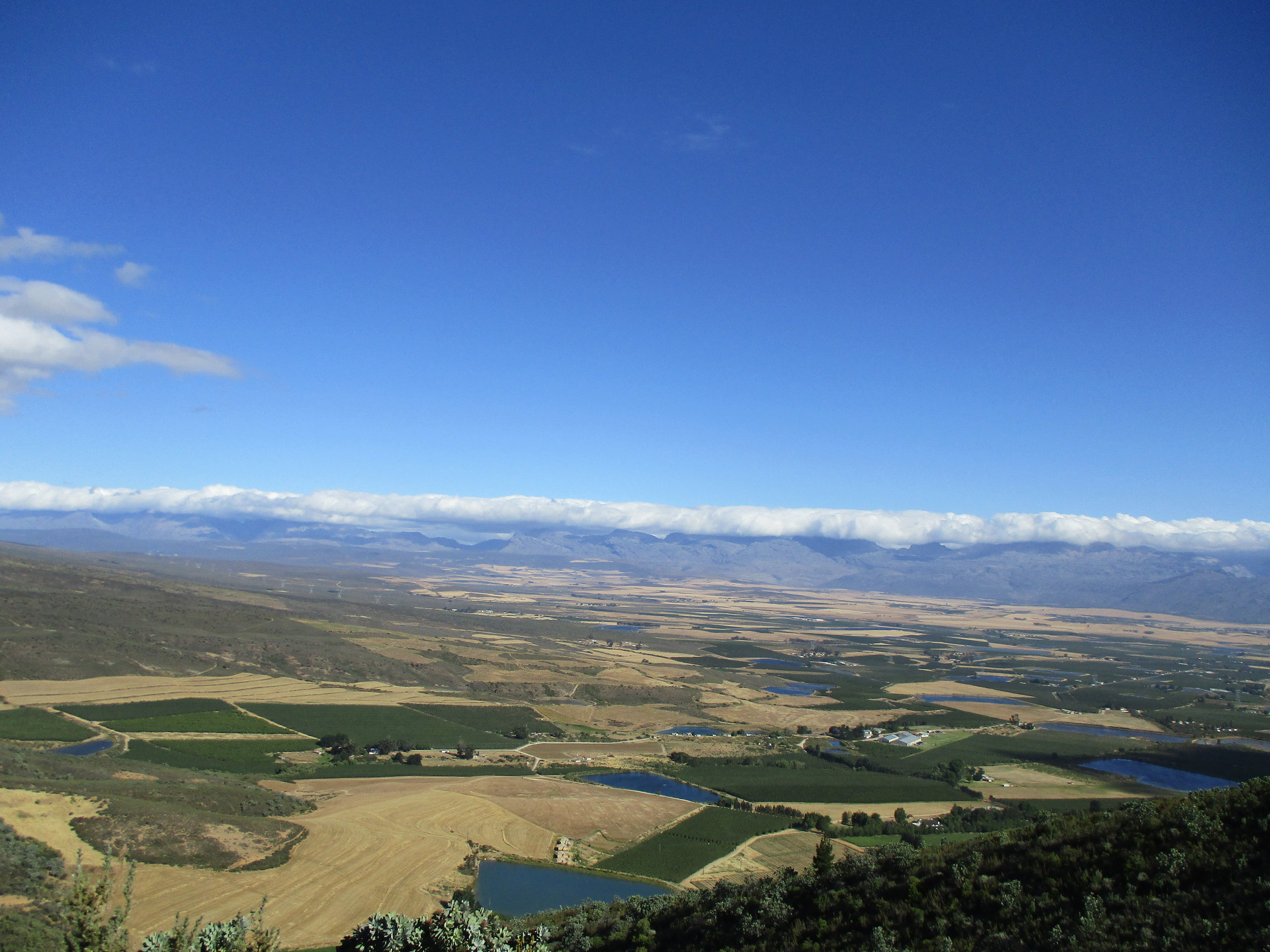 On top of the Bain's Kloof pass