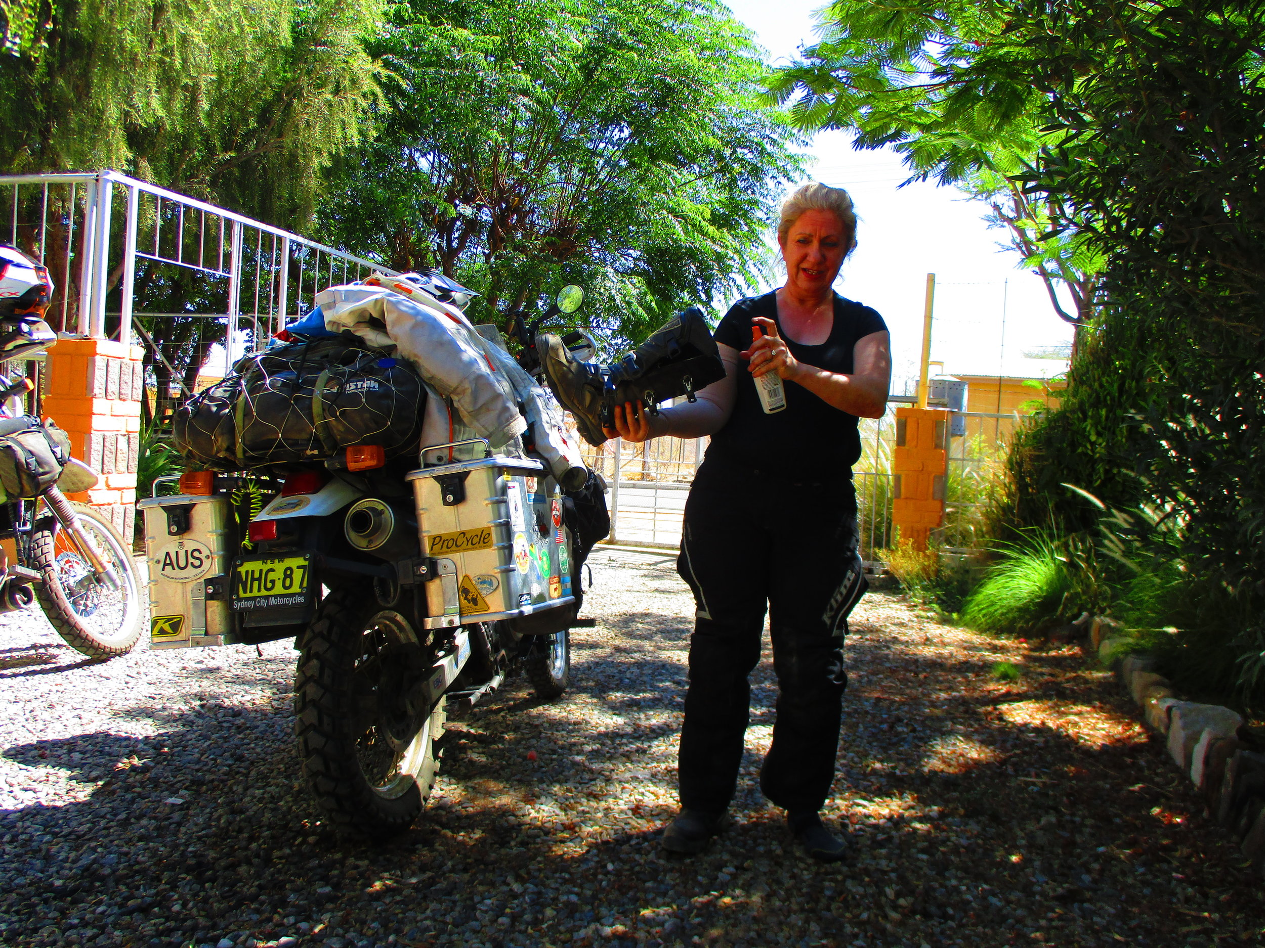 Sal sprays for mozzies