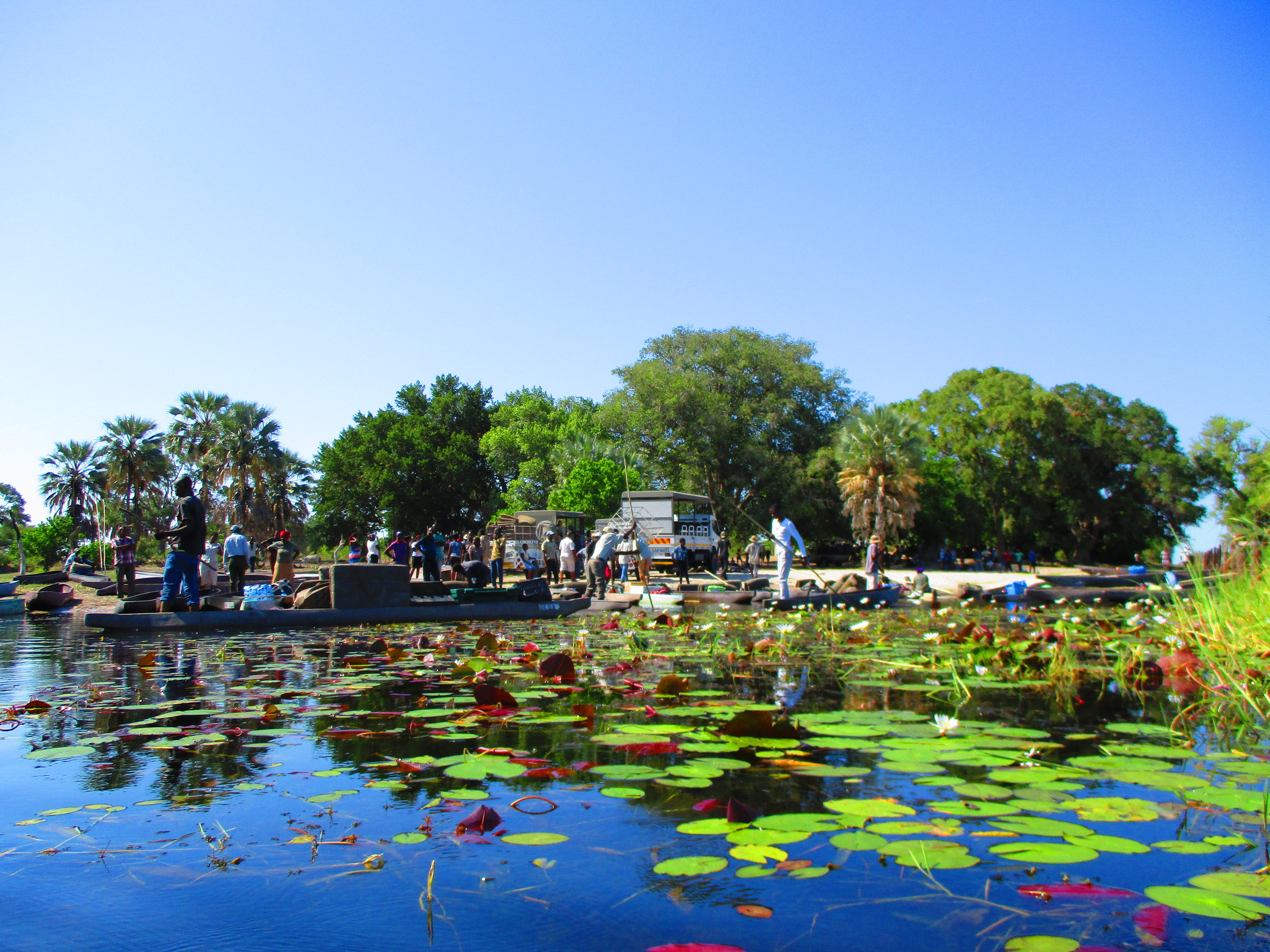 The start of our Mokoro trip on the Okavango Delta