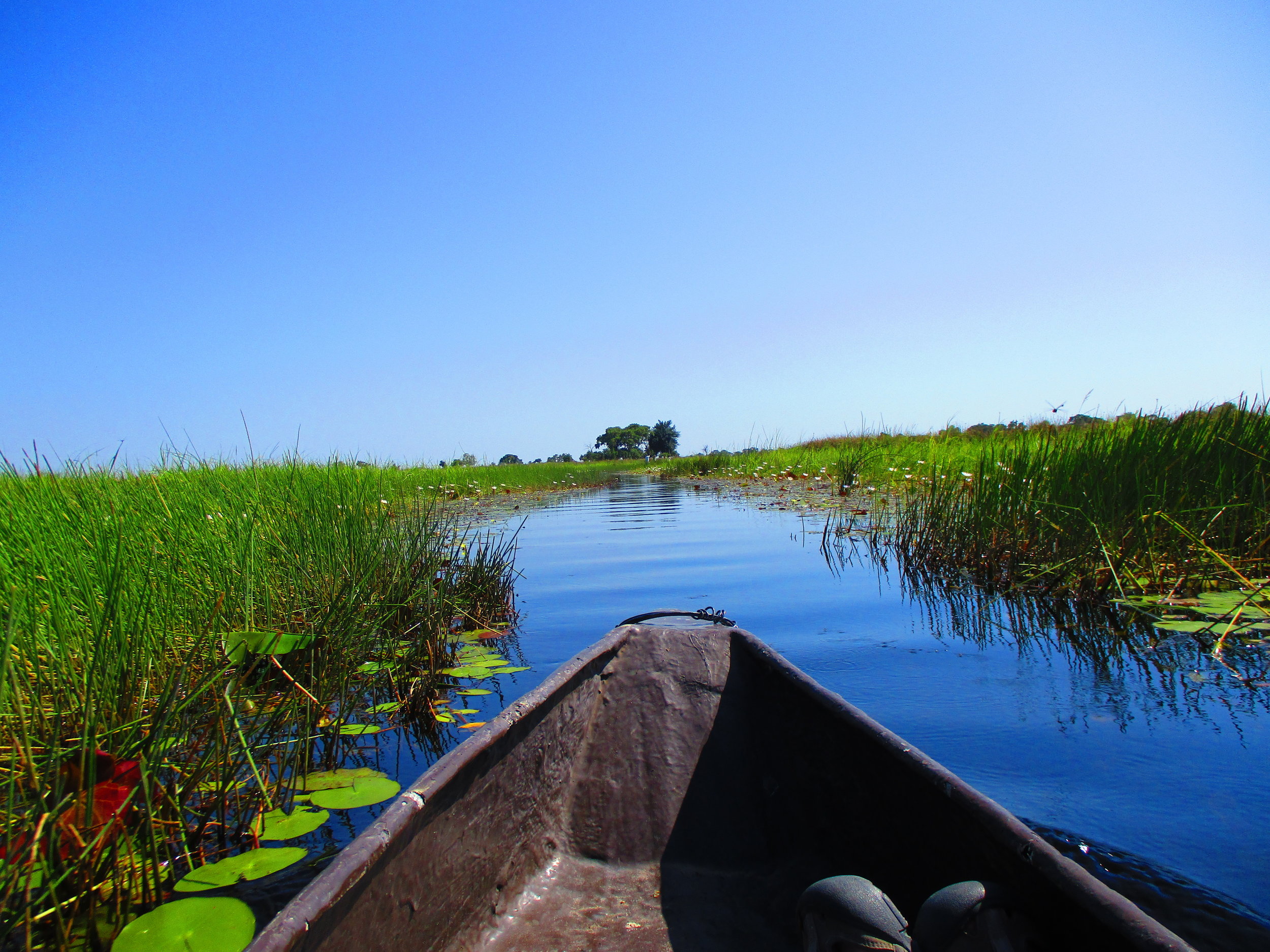 My view down the delta