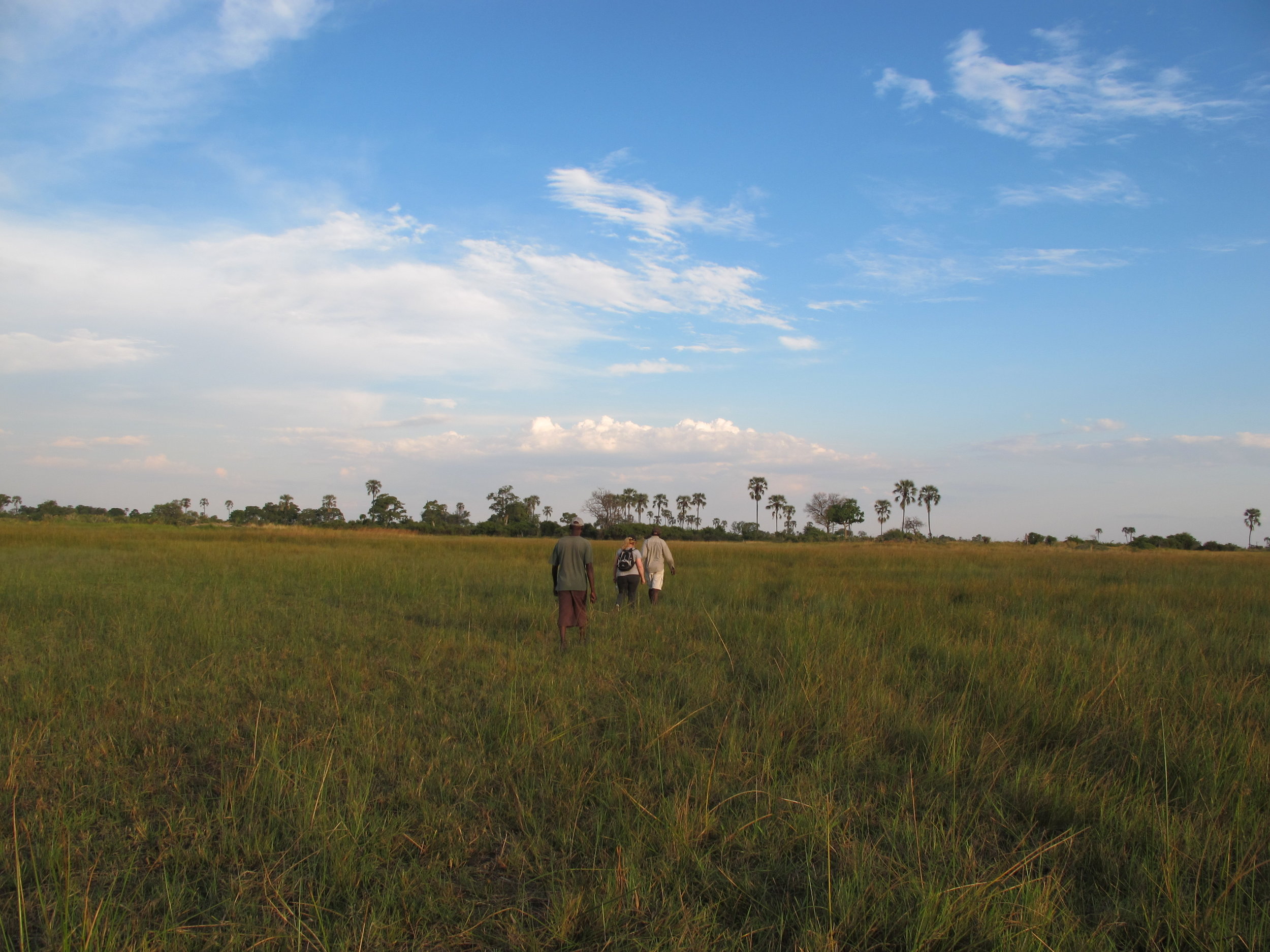 Walking through the bush