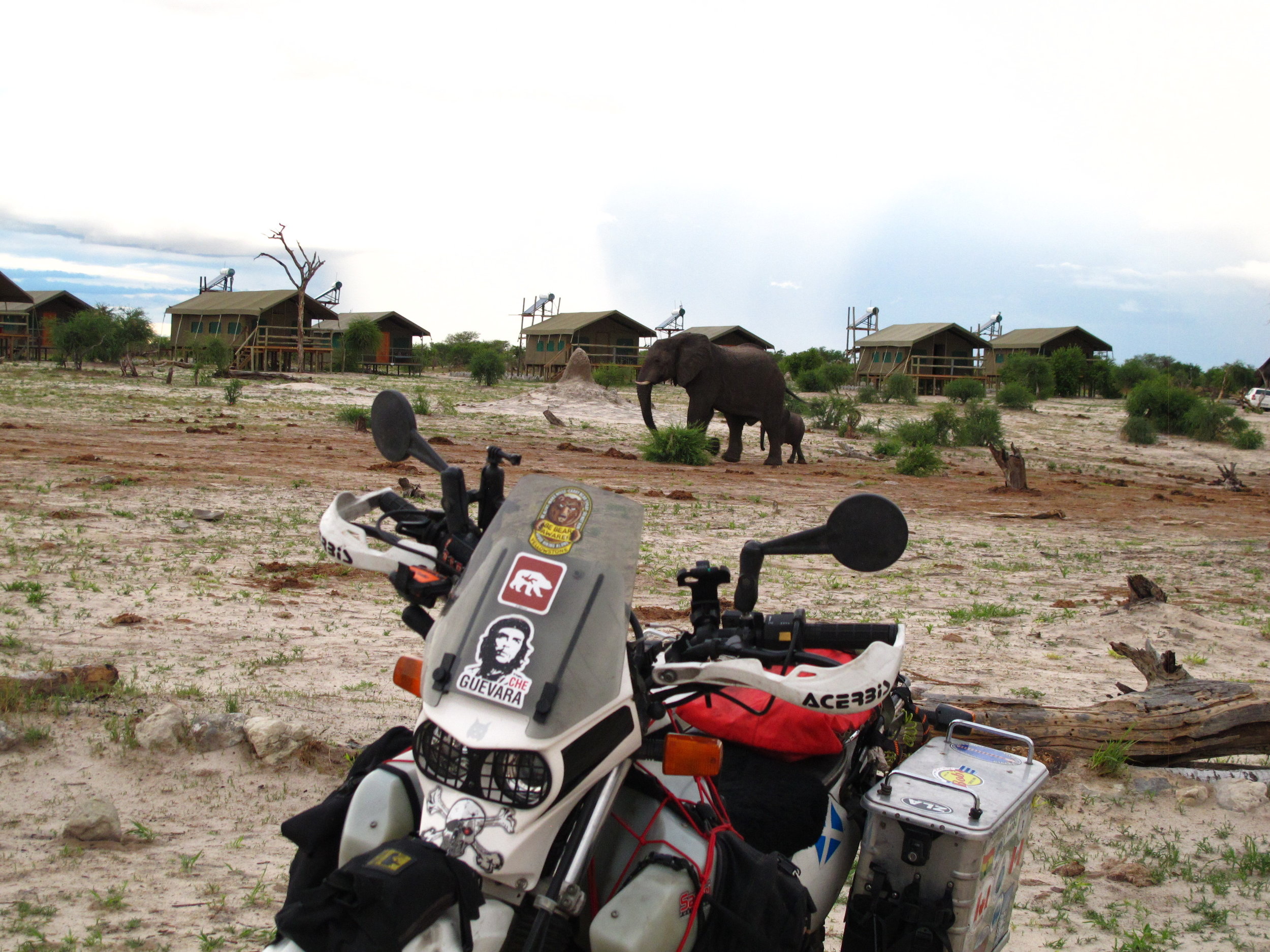 Our camp this close to the elephants