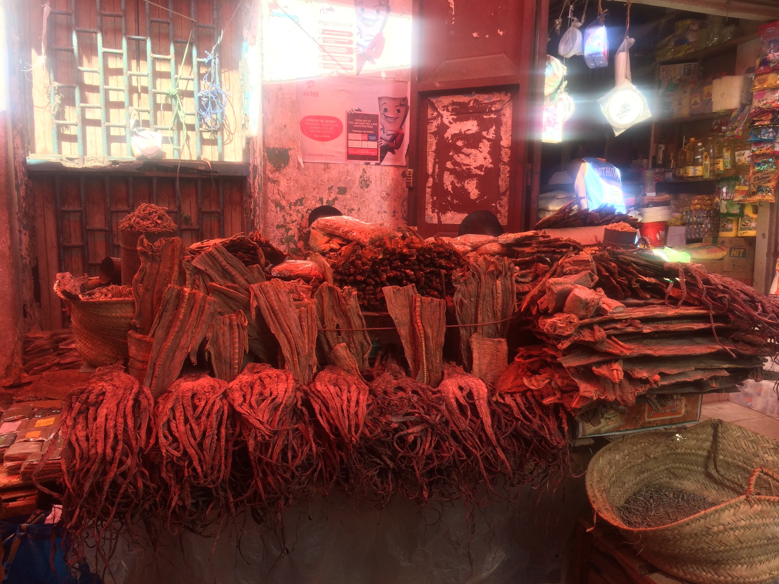 Octopus section