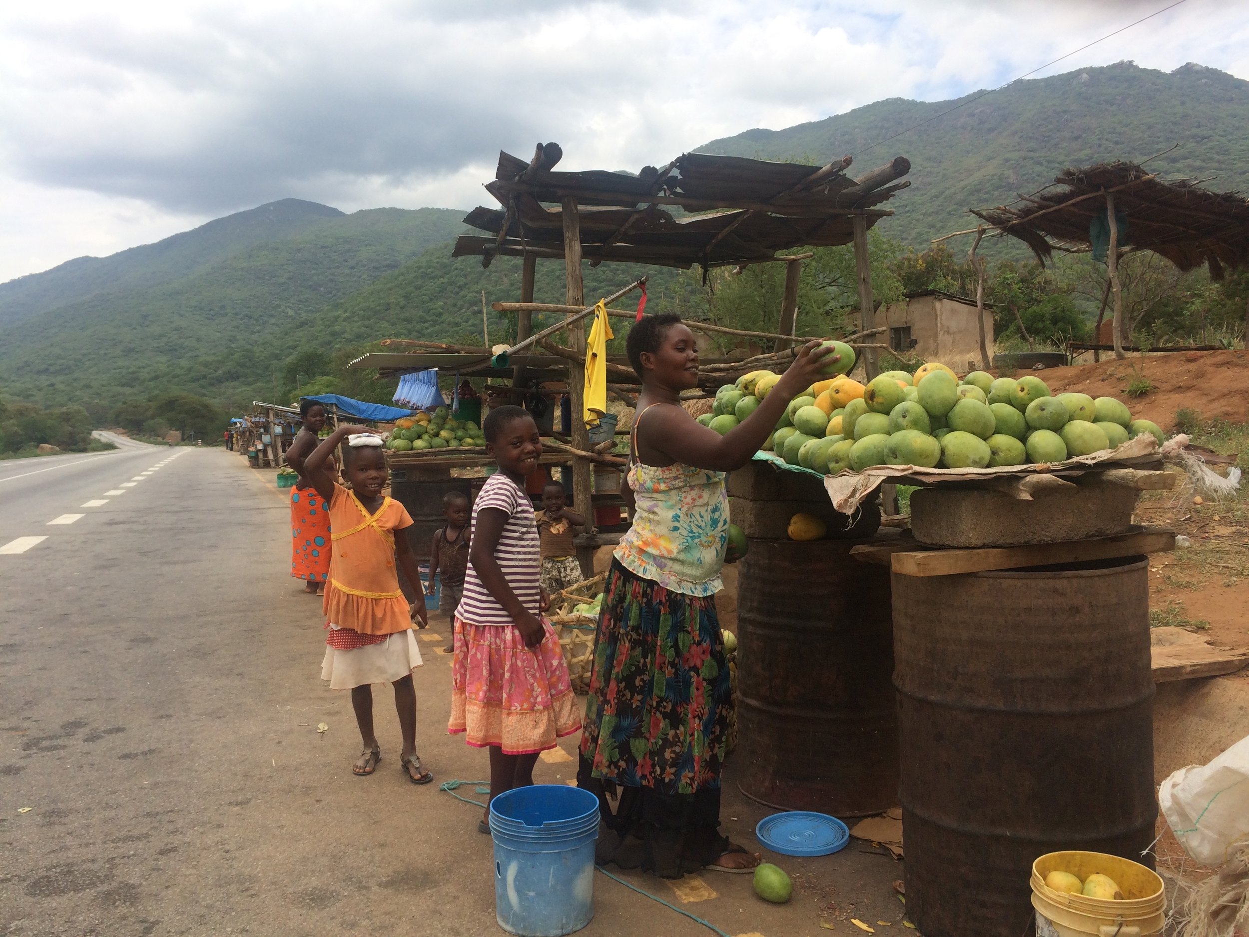 Mango stalls, a common sight. Sometimes we buy a couple for lunch