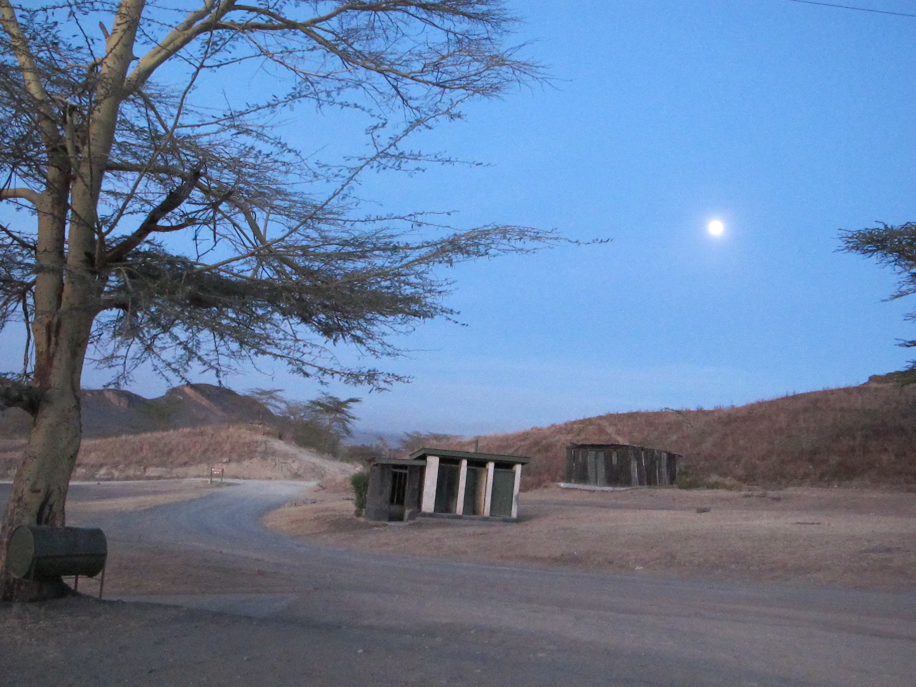 Dawn start, the Moon's still up