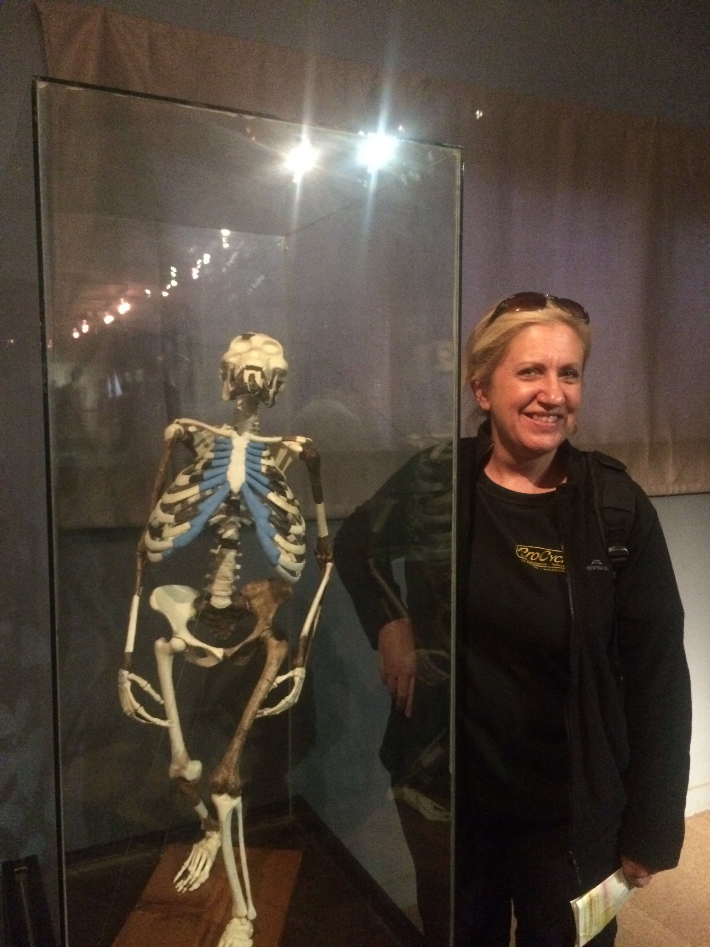 Lucy reconstructed - on the left.