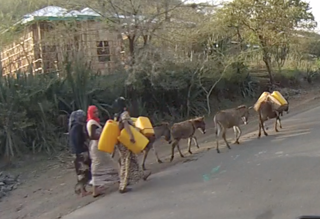 Women and donkeys off to fetch water