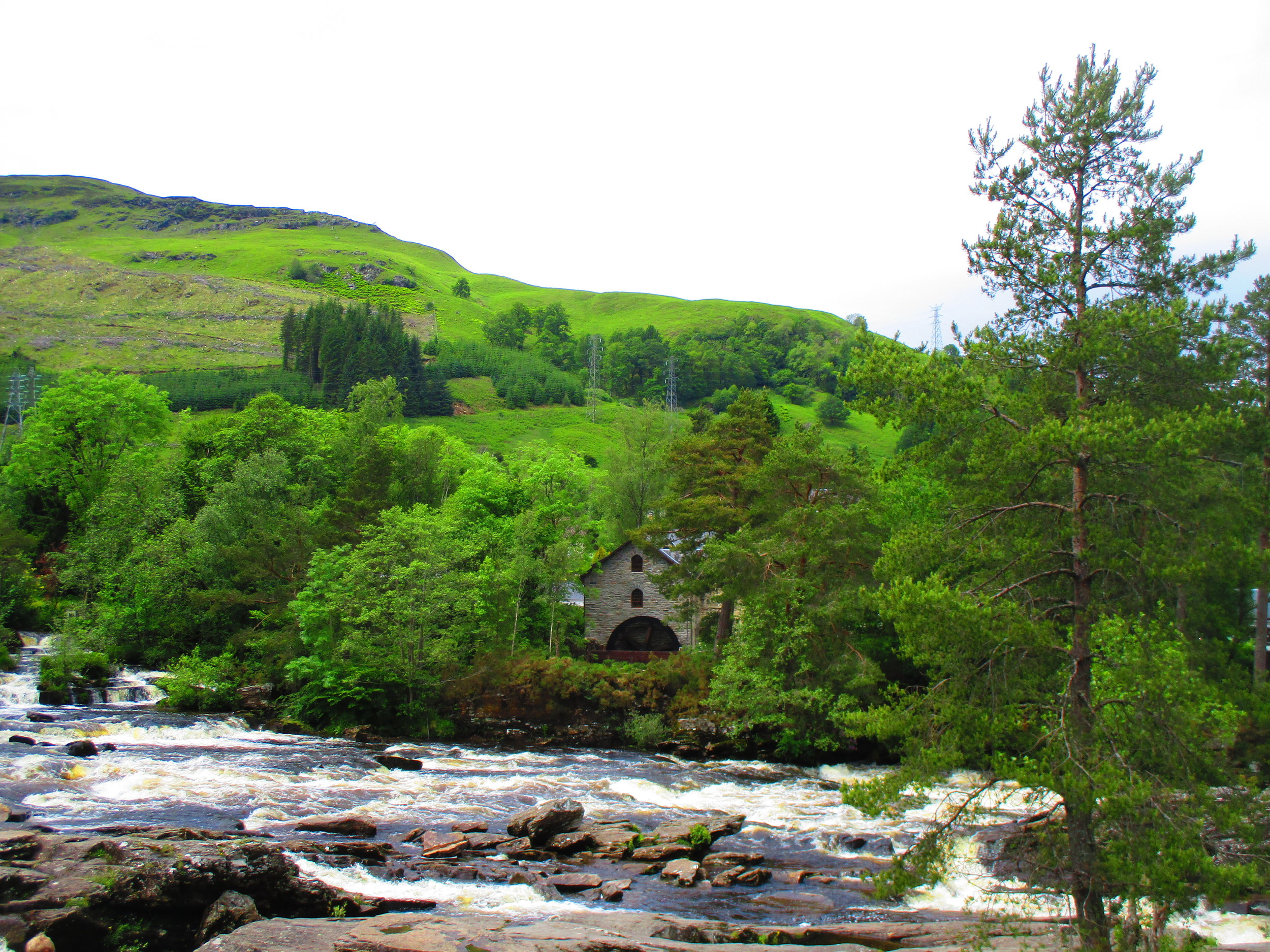Scotland green