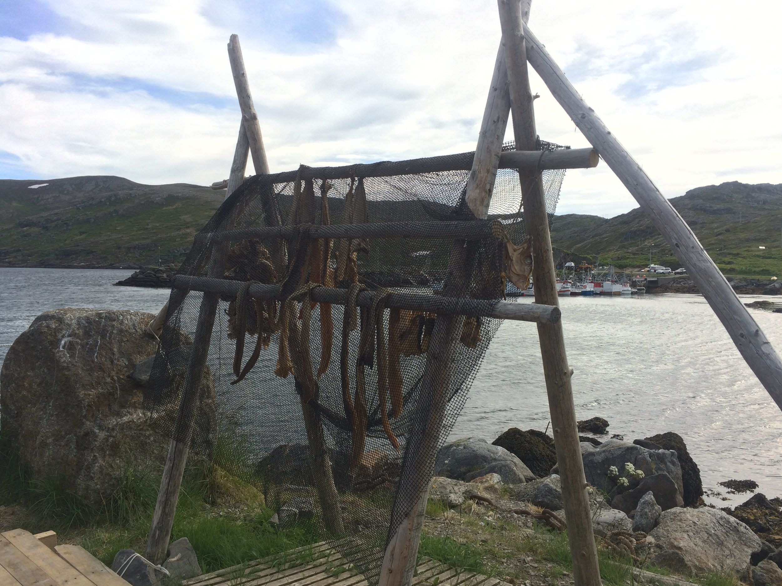 Skarsvåg - fish hanging to dry