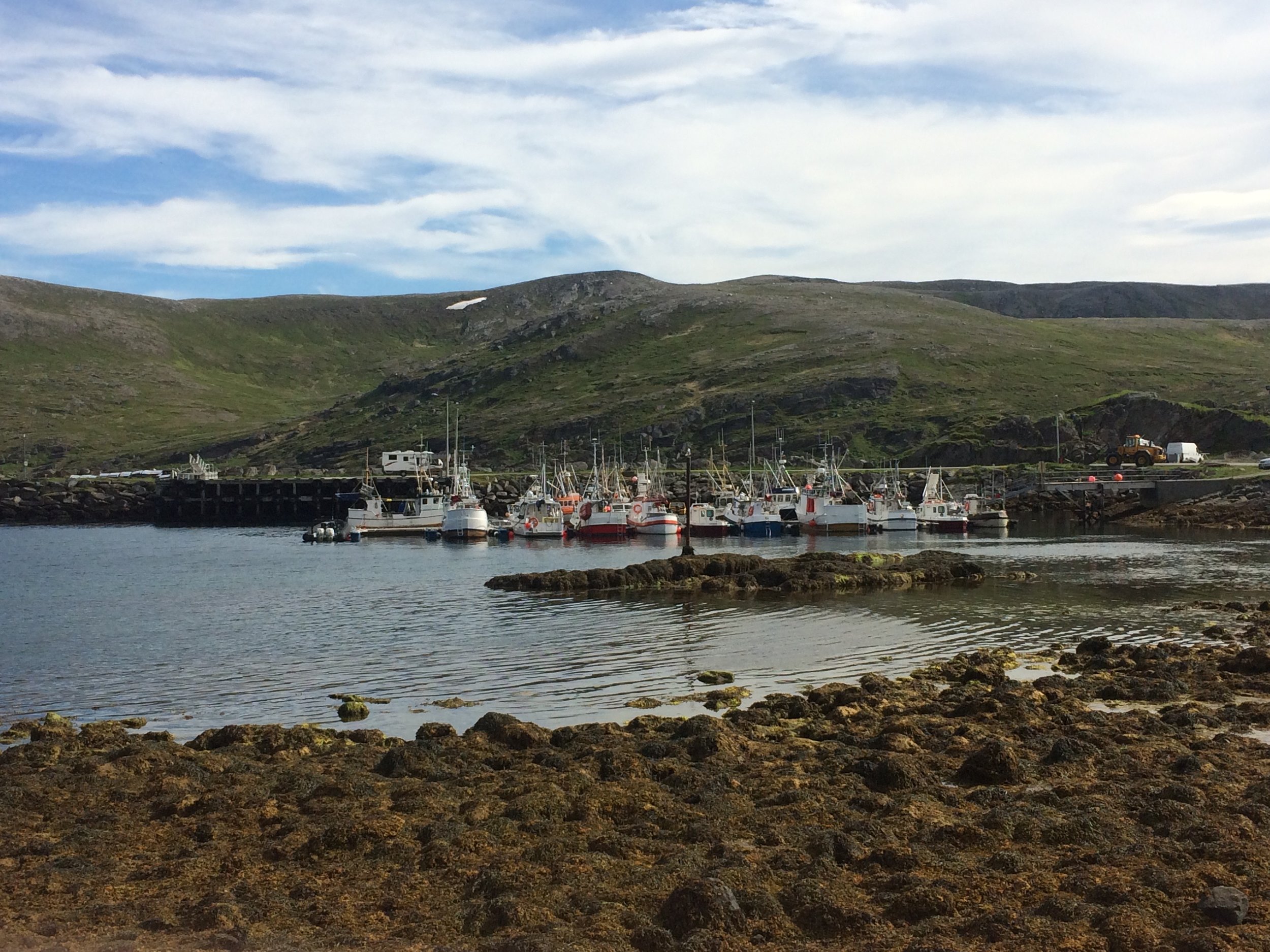 Skarsvåg - fishing boats in the harbour