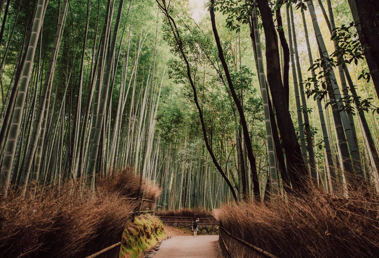 Japan_002.jpg