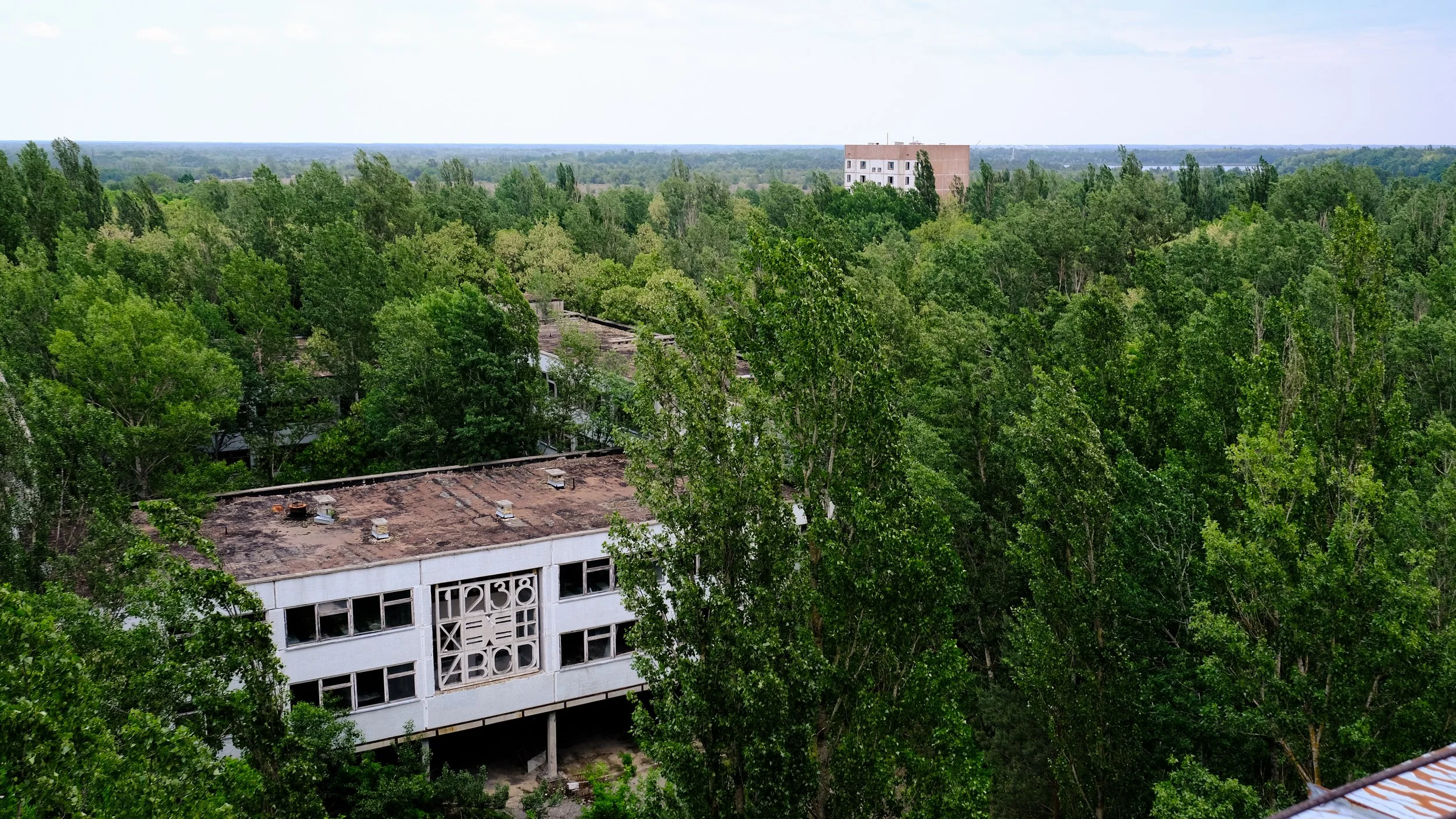 DSCF2507.JPG
