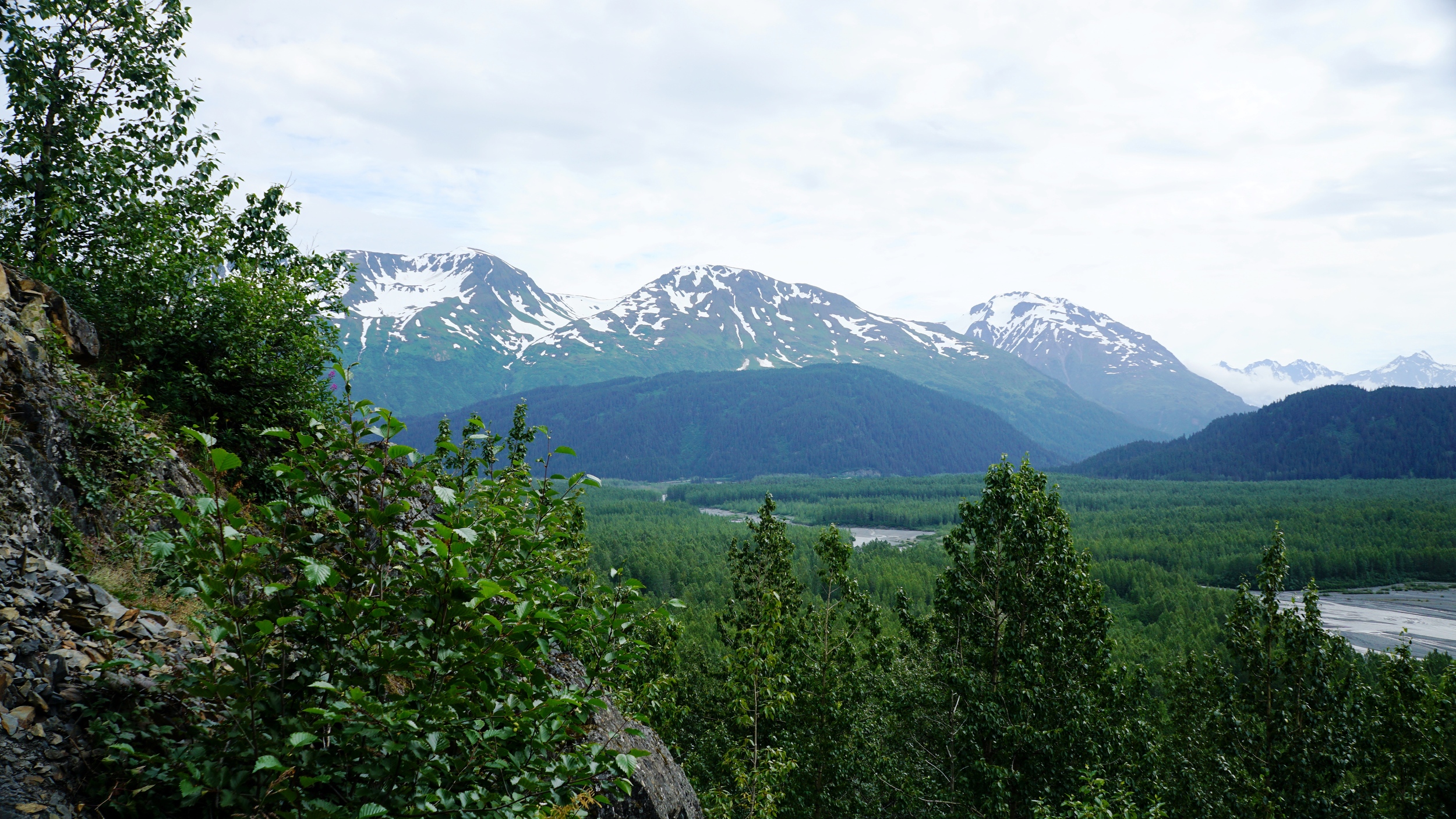 DSC02499_Fotor.jpg