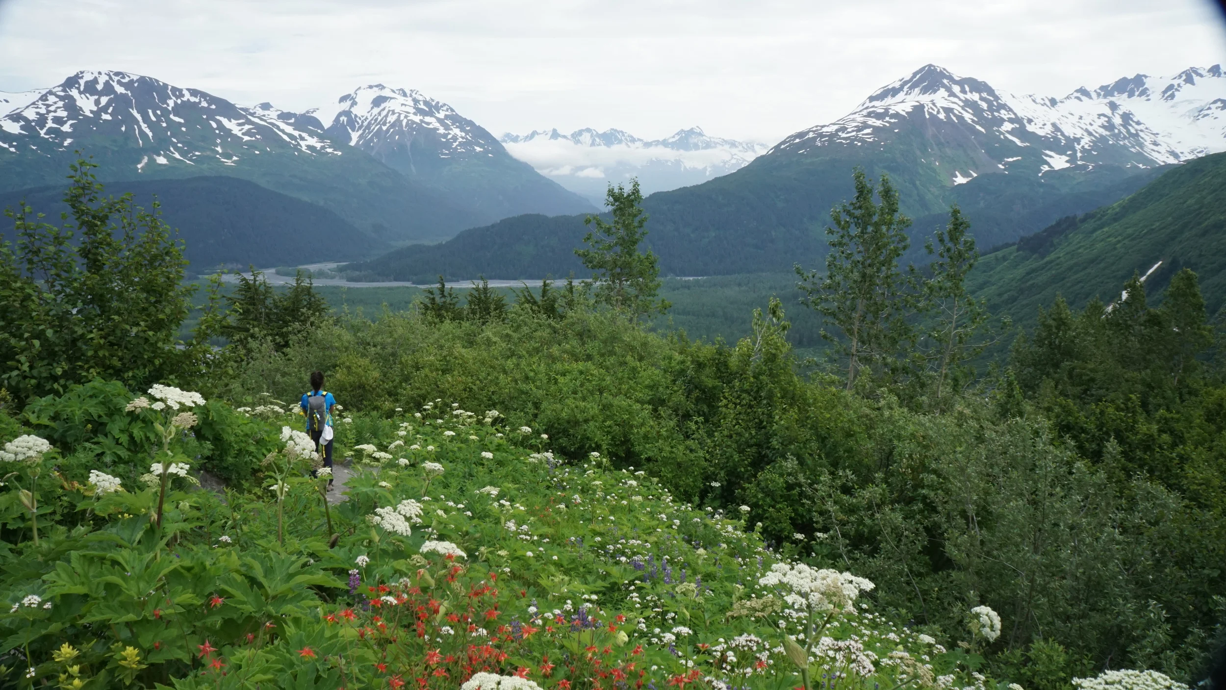 [Alaska] Day 3: Harding Ice Trail (A MUST DO)