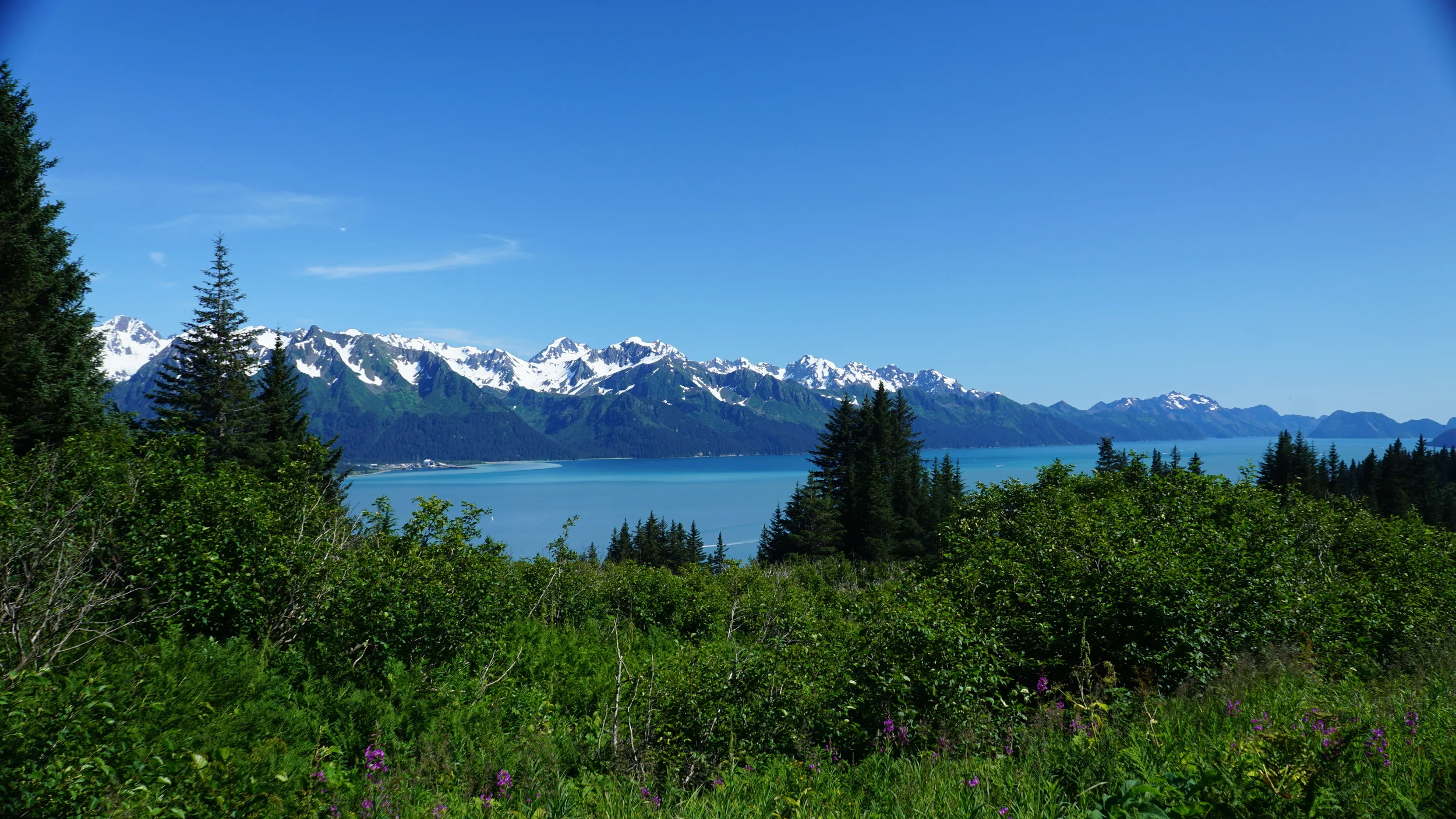 [Alaska] Day 2: Exit Glacier & Mount Marathon Hike