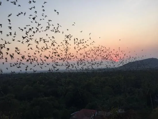 perfect-sunset-with-the.jpg