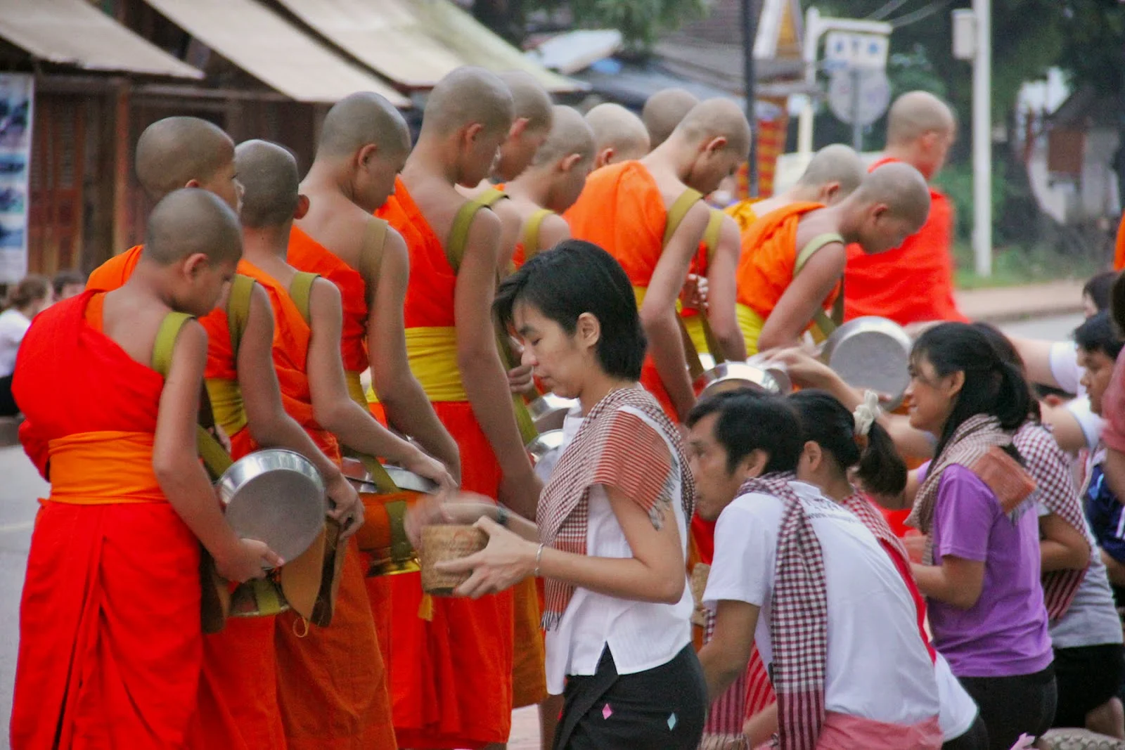 Ceremonia-entrega-limosnas-Luang-Prabang-Laos.jpg