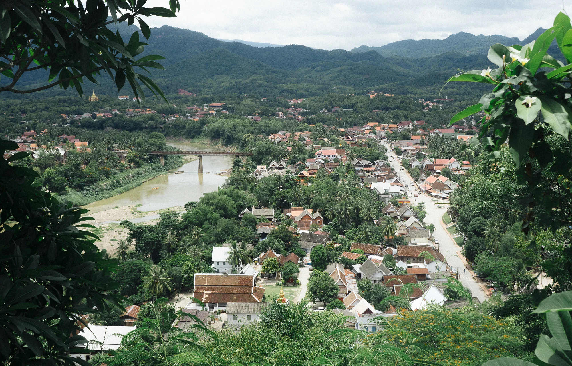 DSC03503-1.jpg