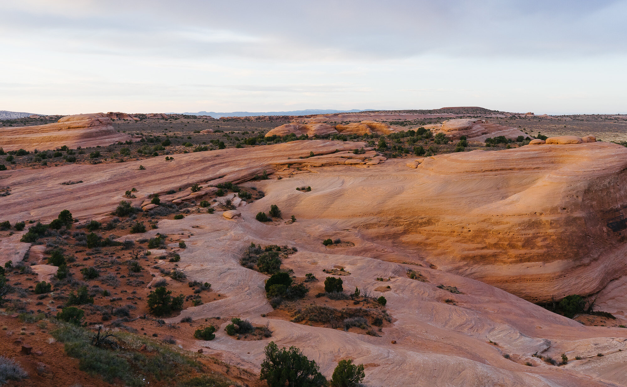 UtahNov2020-72.jpg