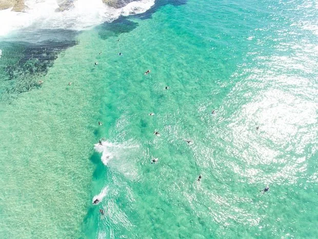 Incredible Clear Water With Surfers At Tamarama Beach