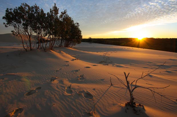 A Wonderful Golden Sunrise At Stockton Dunes Near Newcastle