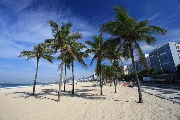 Palm Trees Under A Summer Blue Sky On Ipanema Beach In Rio