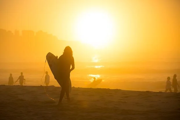 Spectacular Golden Sunrise With Surfer Walking Onto Bondi Beach