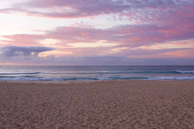 Gorgeous Landscape Photography: Pink Clouds Above Bondi Beach At Sunrise