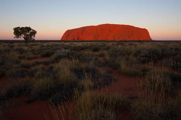Uluru Ayers Rock Glowing Orange At Dusk In Outback